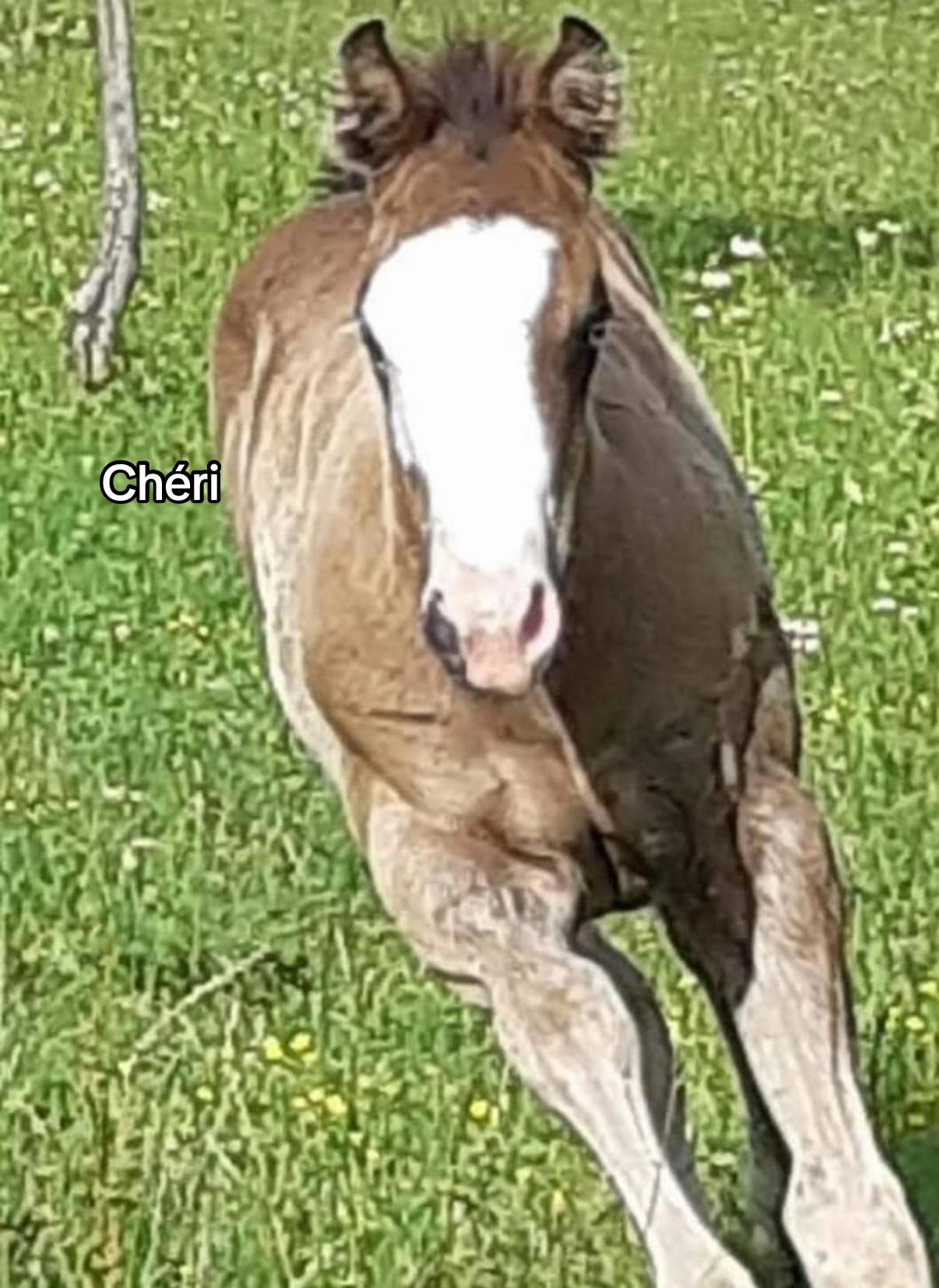 @ℳ𝒶𝓇𝑔𝒶𝓊𝓍🇧🇪