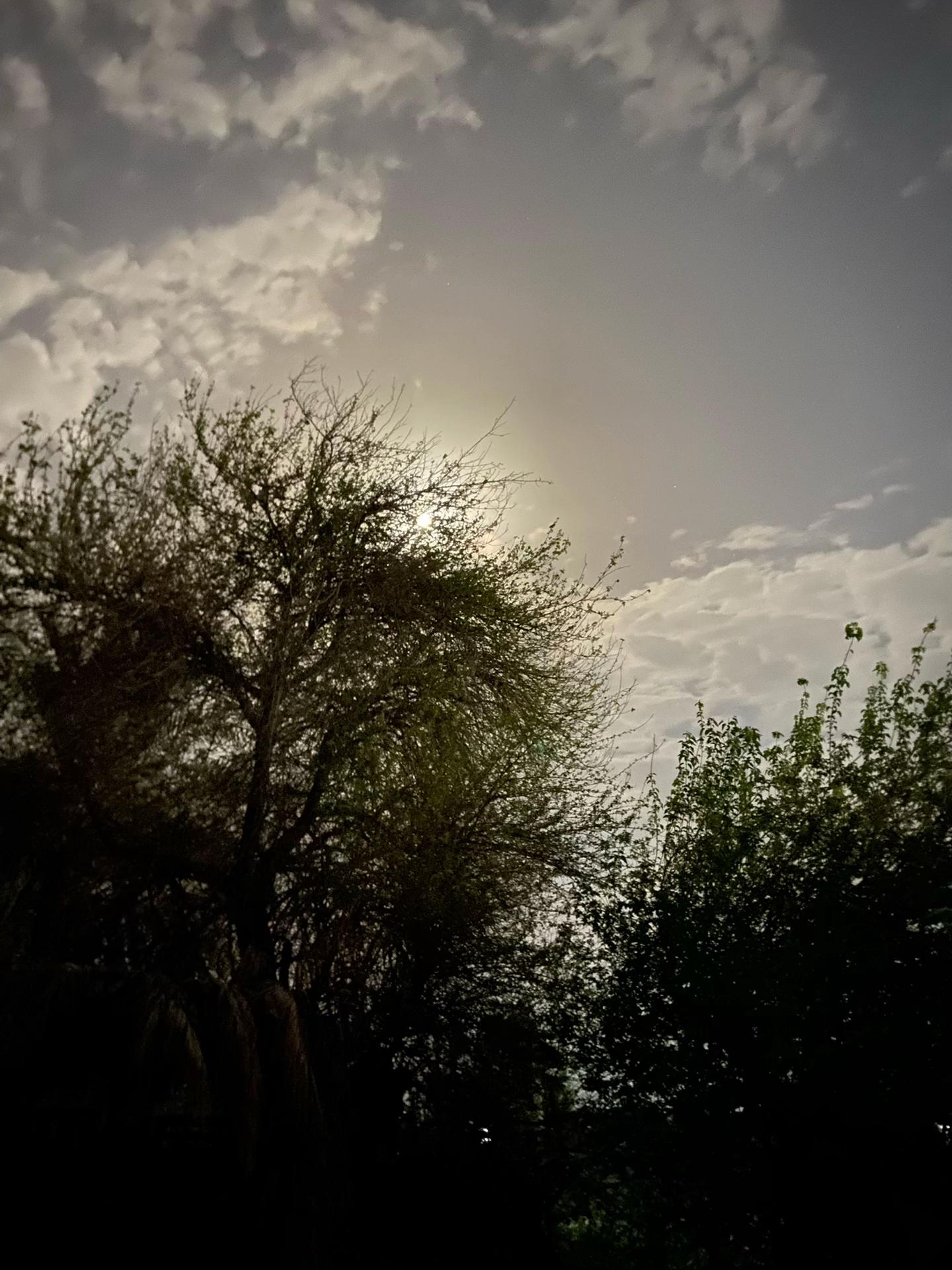 @سَجـااد | SAJAD