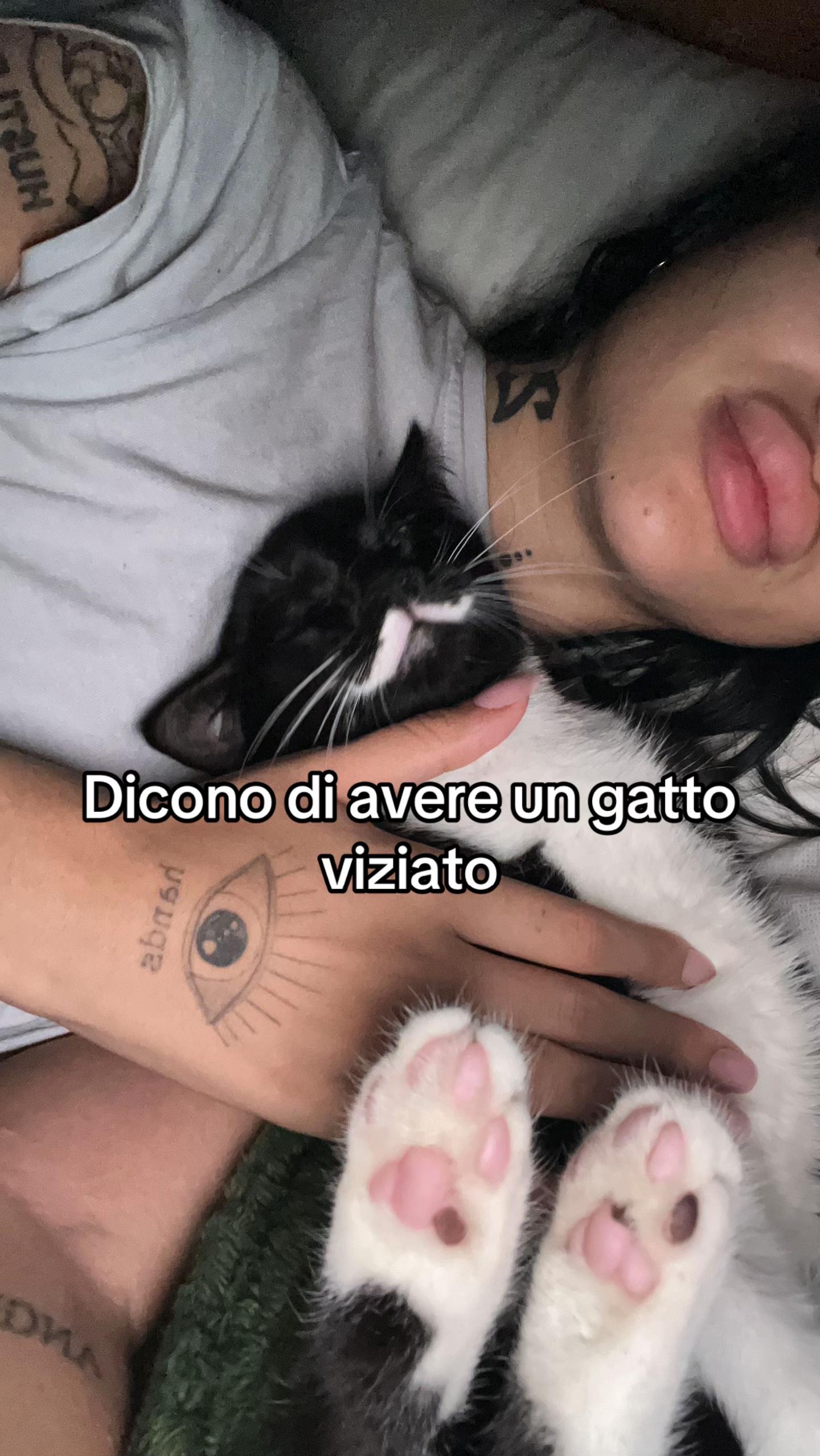 @Cheres🦇