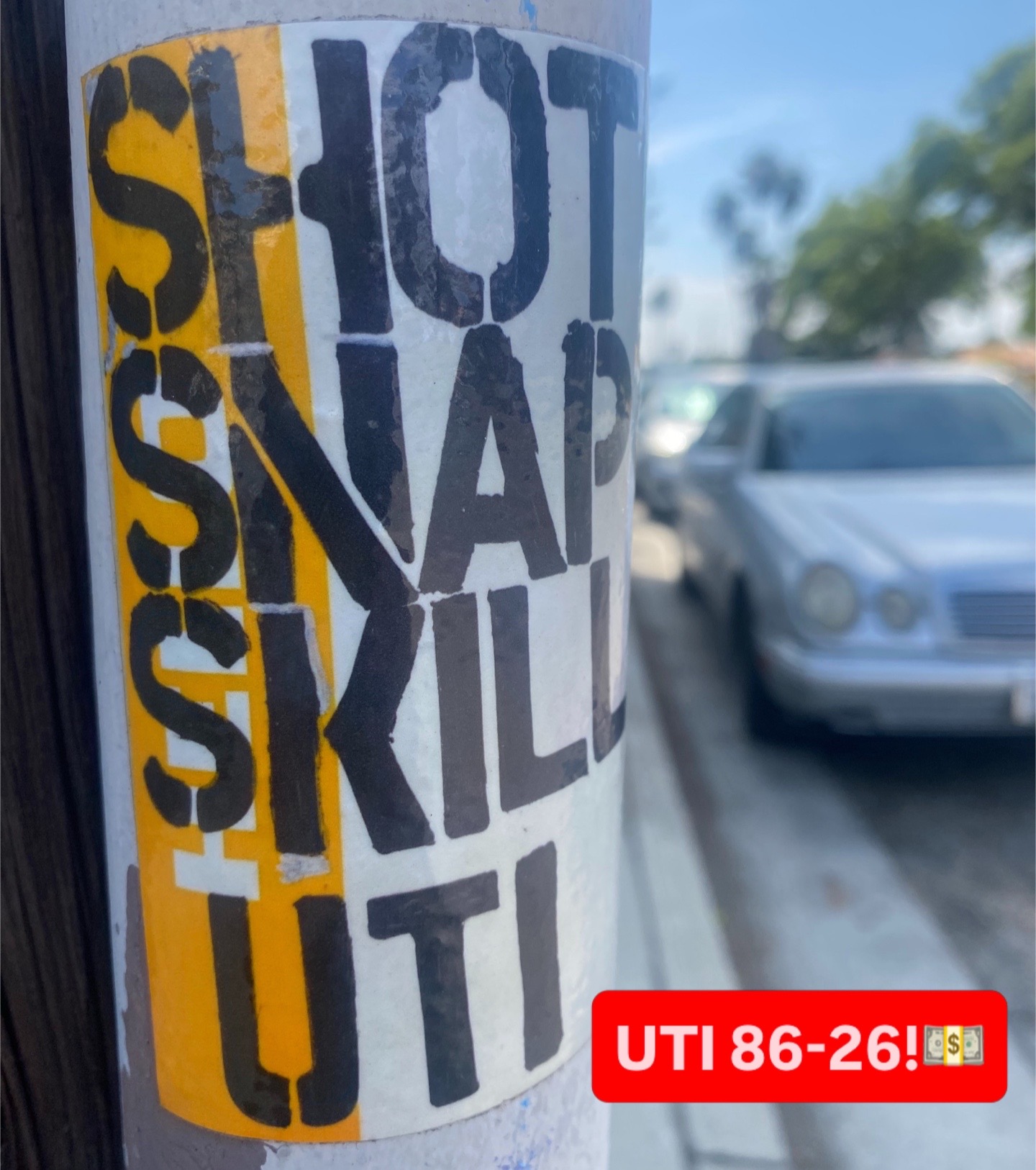 @shotarts