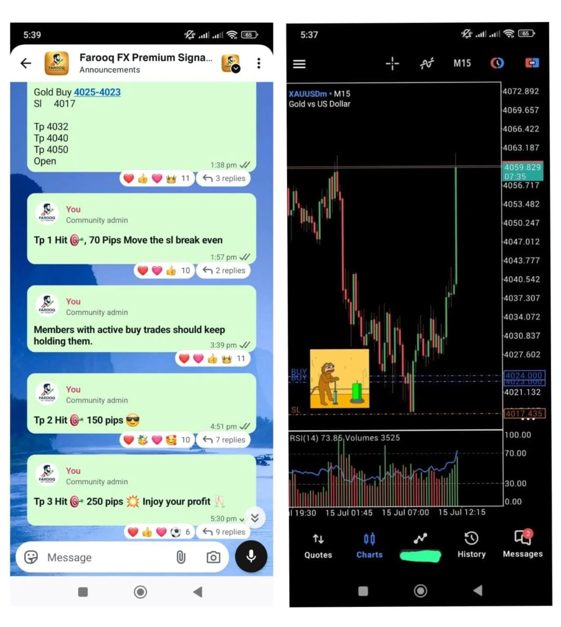 @Farooq FX Trader