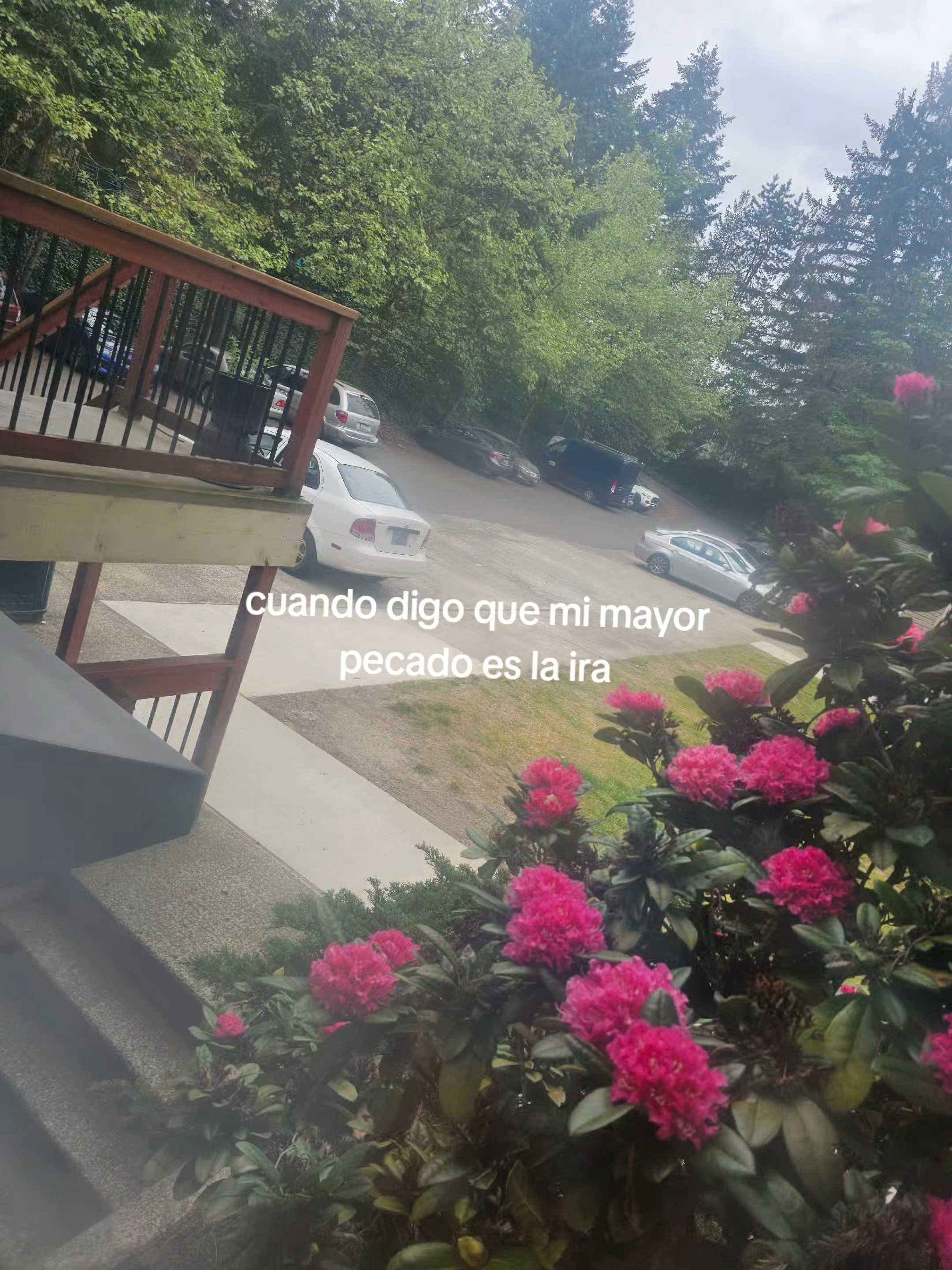 @⚽️ᛕꫀꪗꪶꪮꪀ502🇬🇹🥊