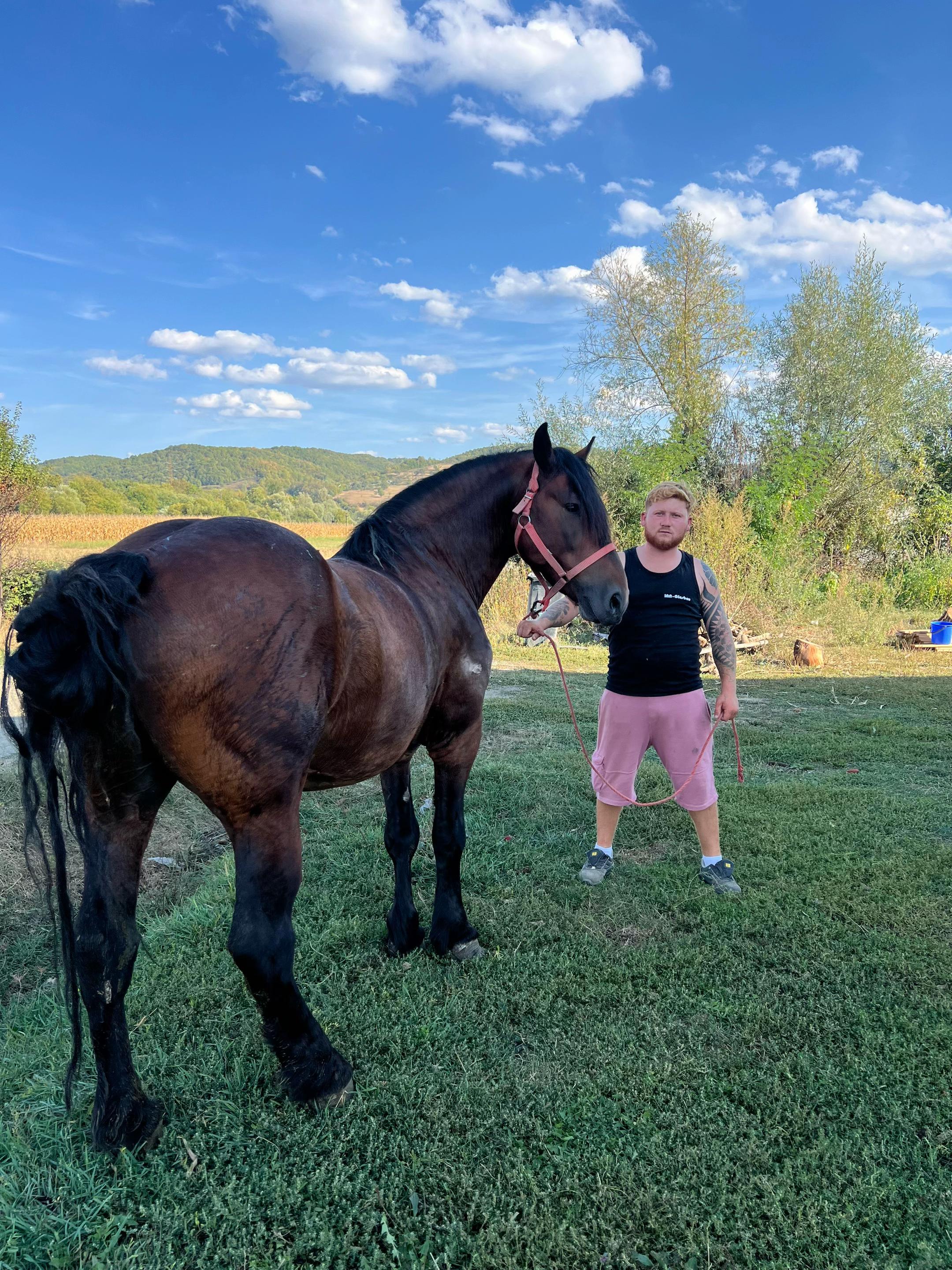 @Darius Darius✅