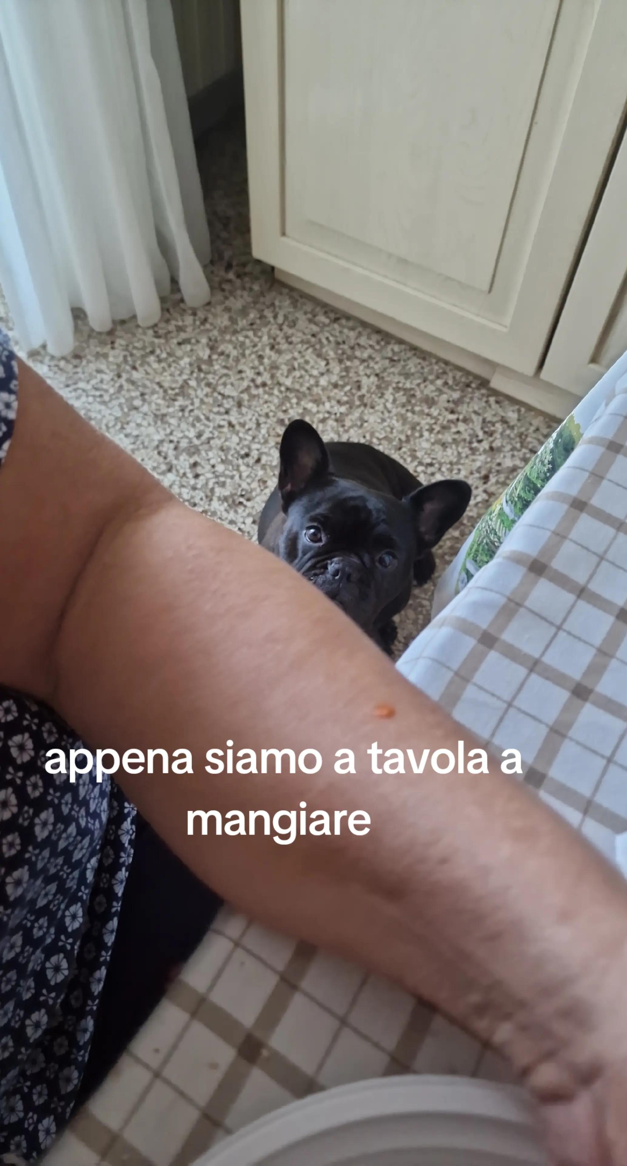 @Giovy
