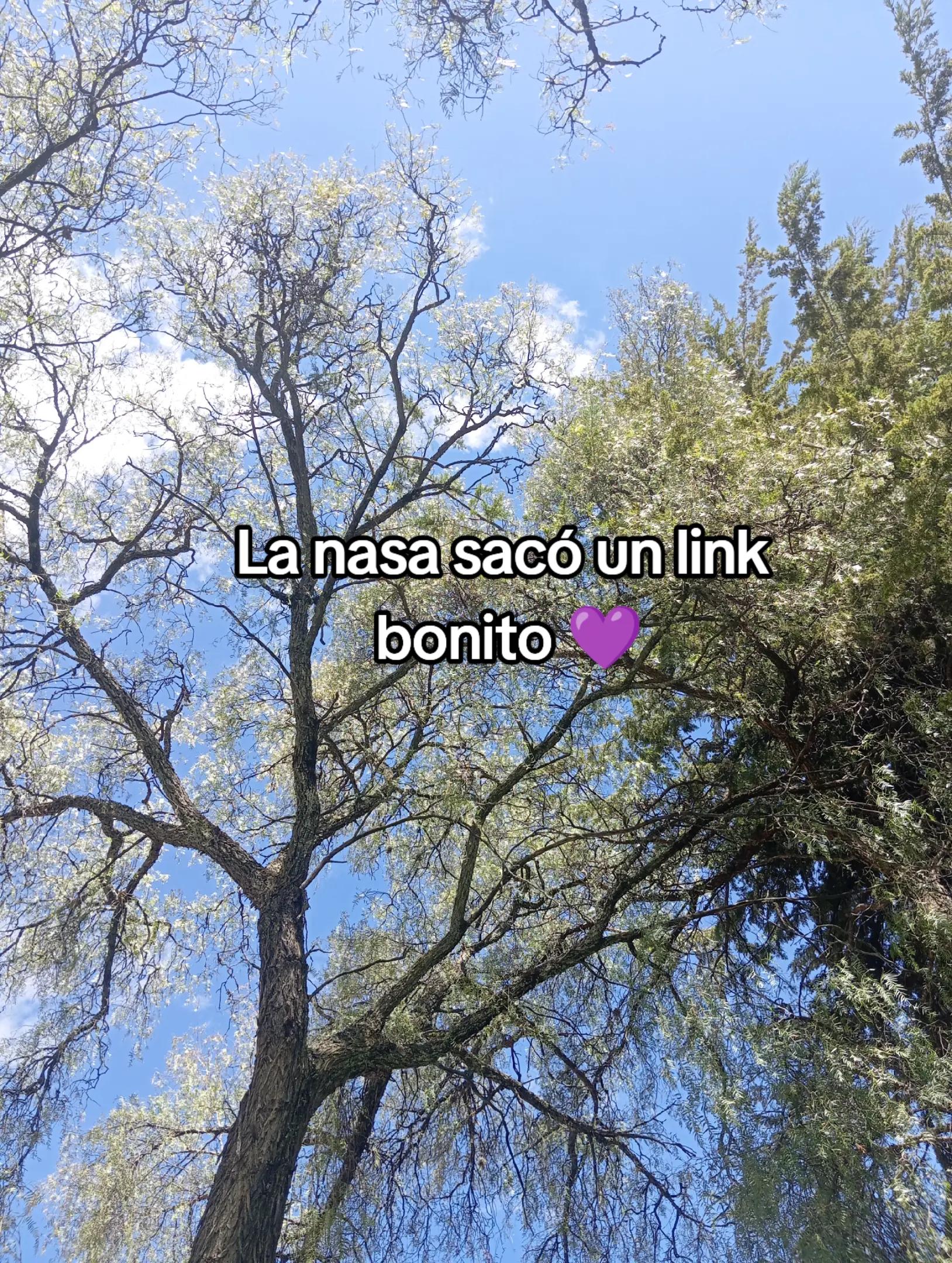 @🖤helen💜
