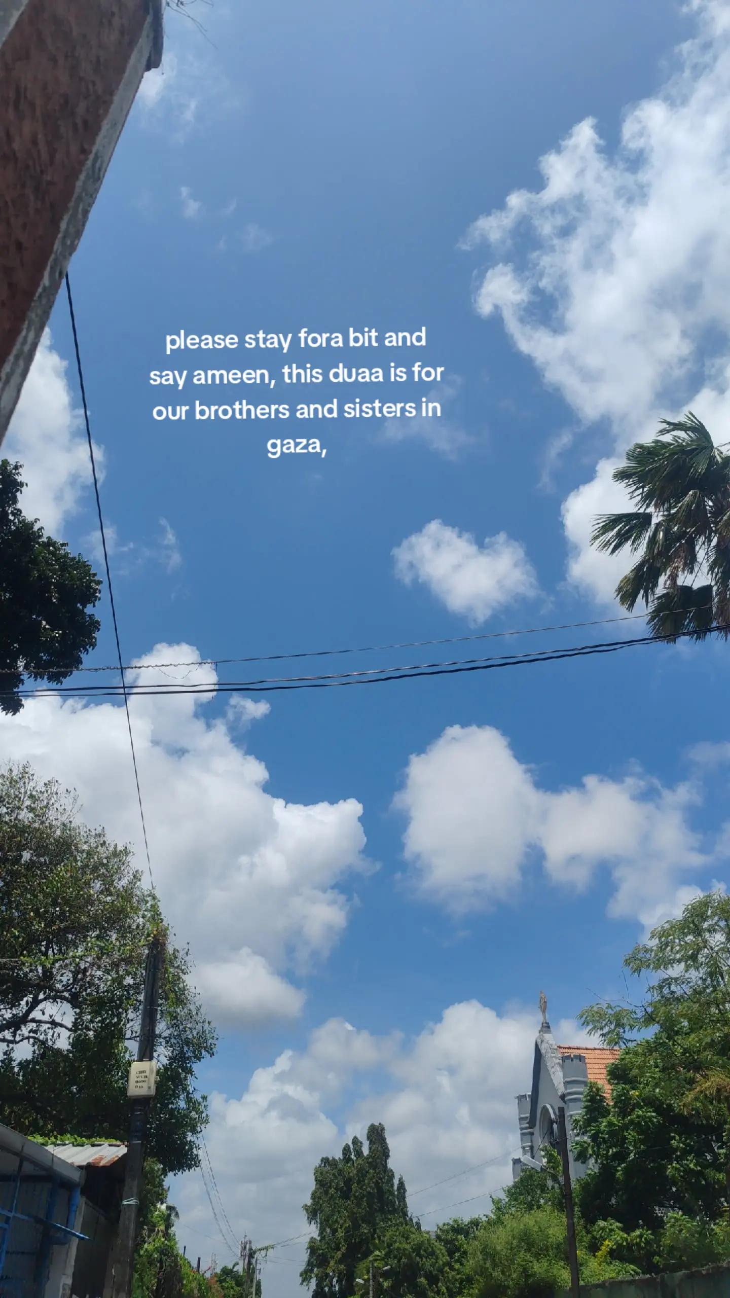 @ahalalchange