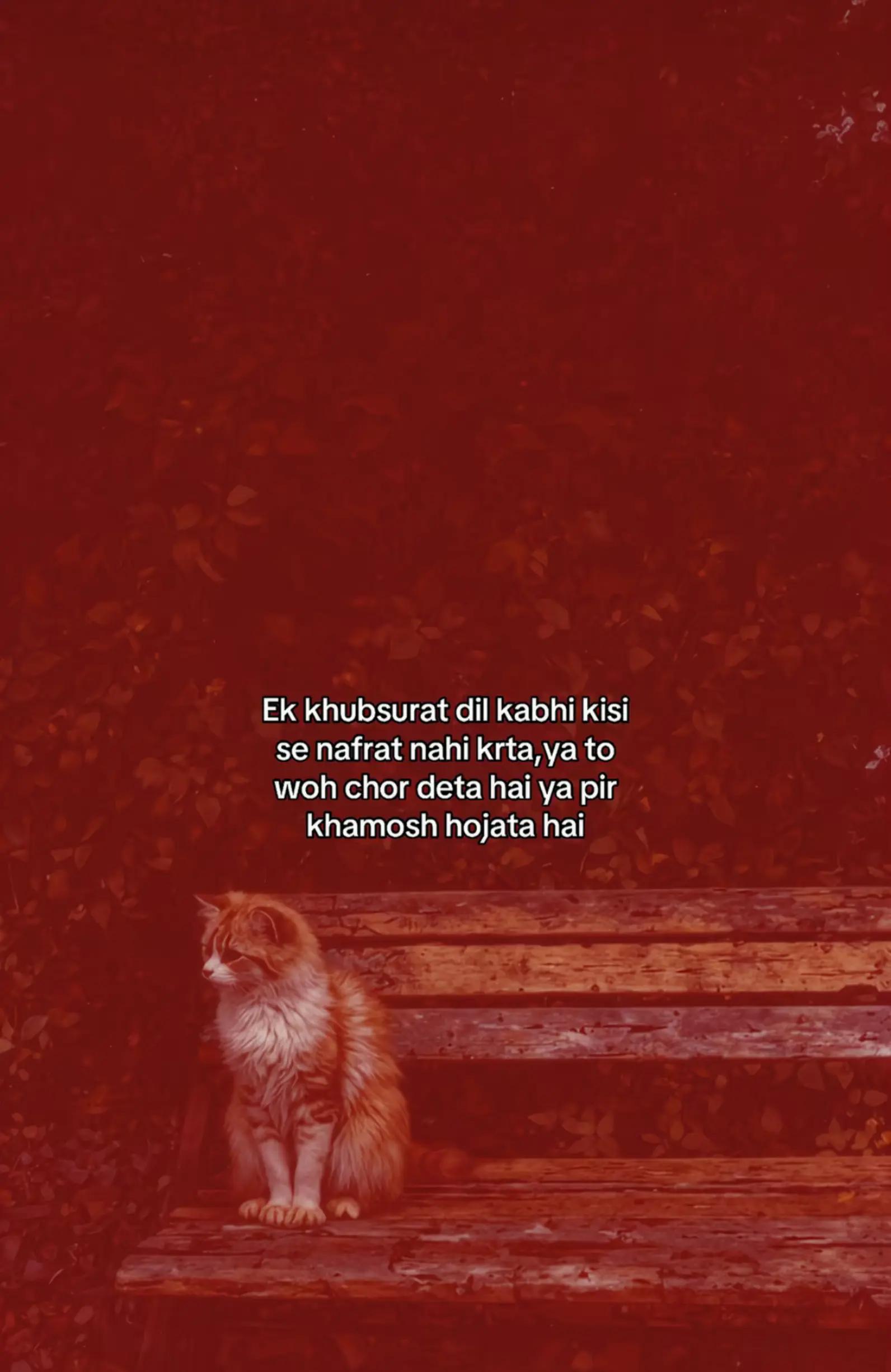 @RAJA SAHEB 👑