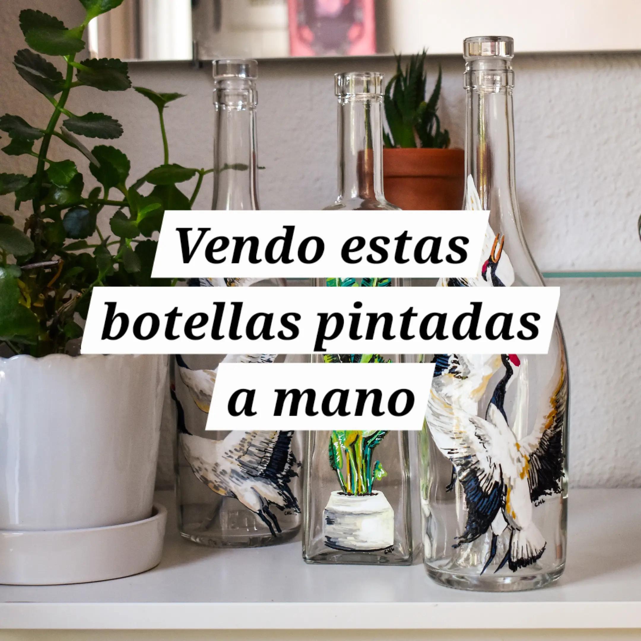@celia marte