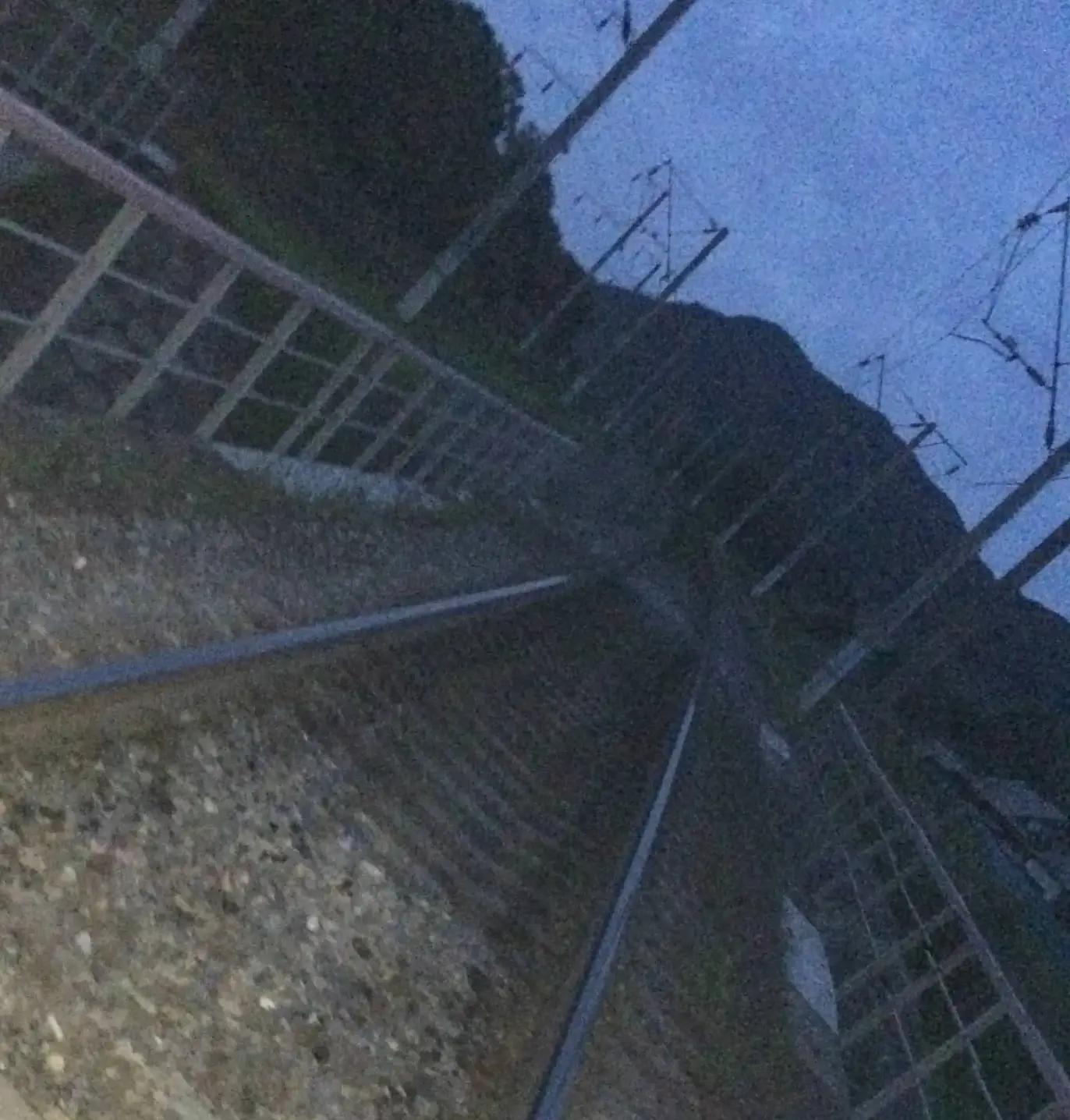 @𓆩2Way𓆪