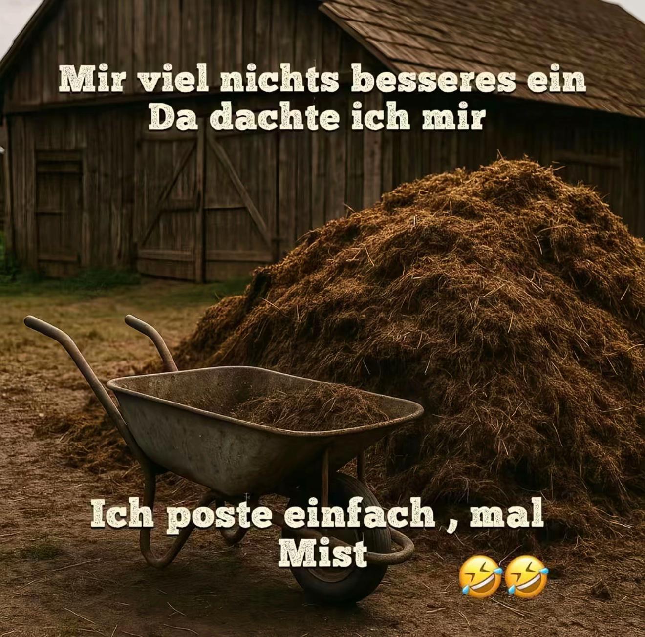 @Thorgard