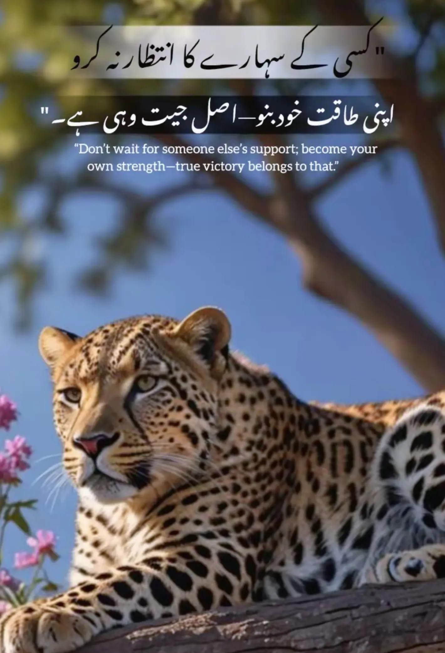 @Arsalan Ahmed (AA)