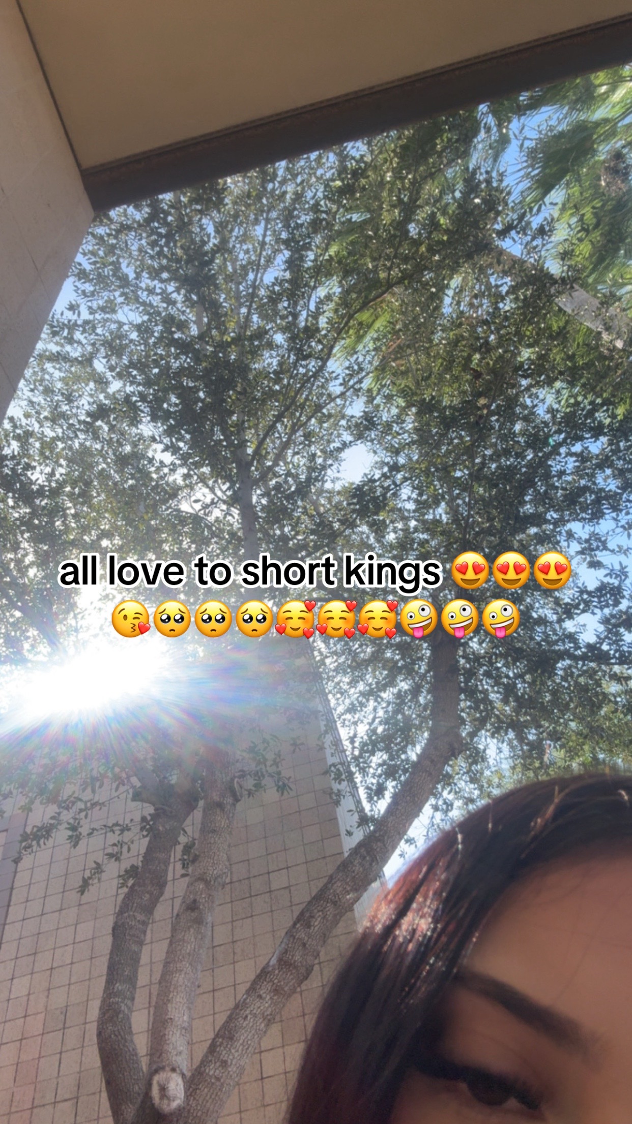 @ava