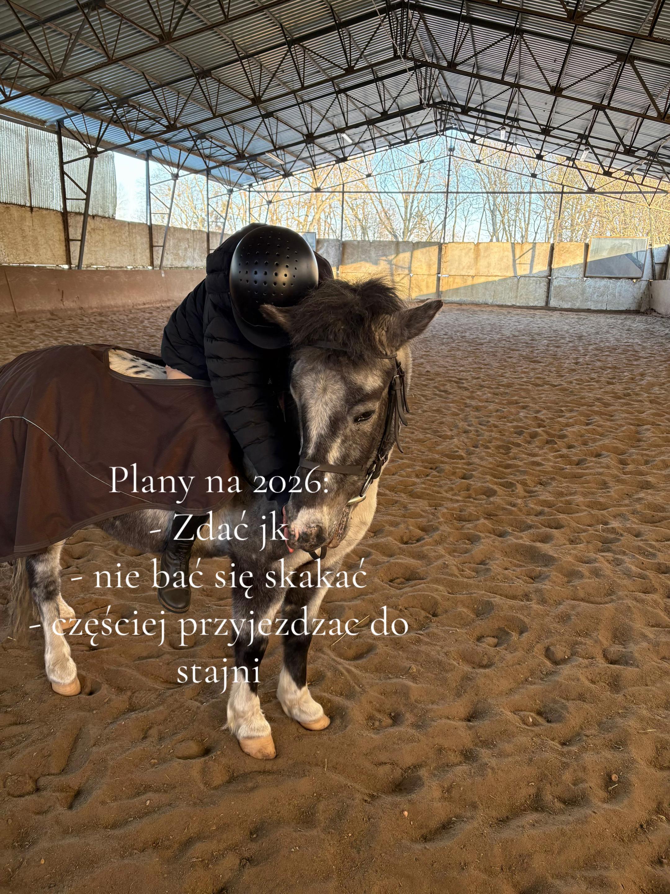 @l.equestrian🪽