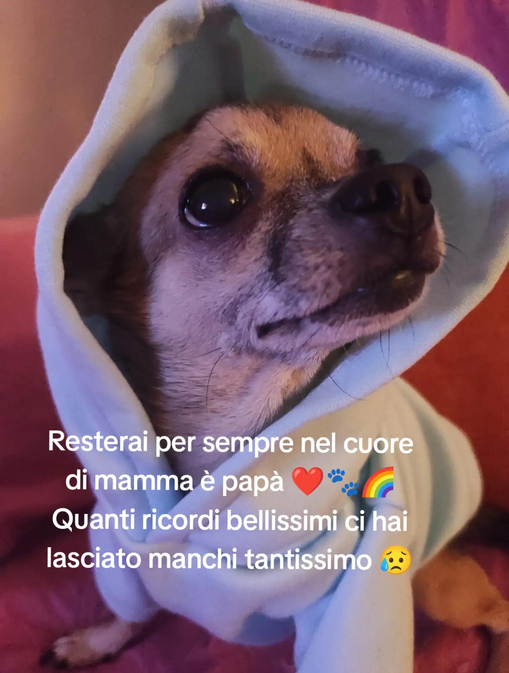 @Francesca Colella