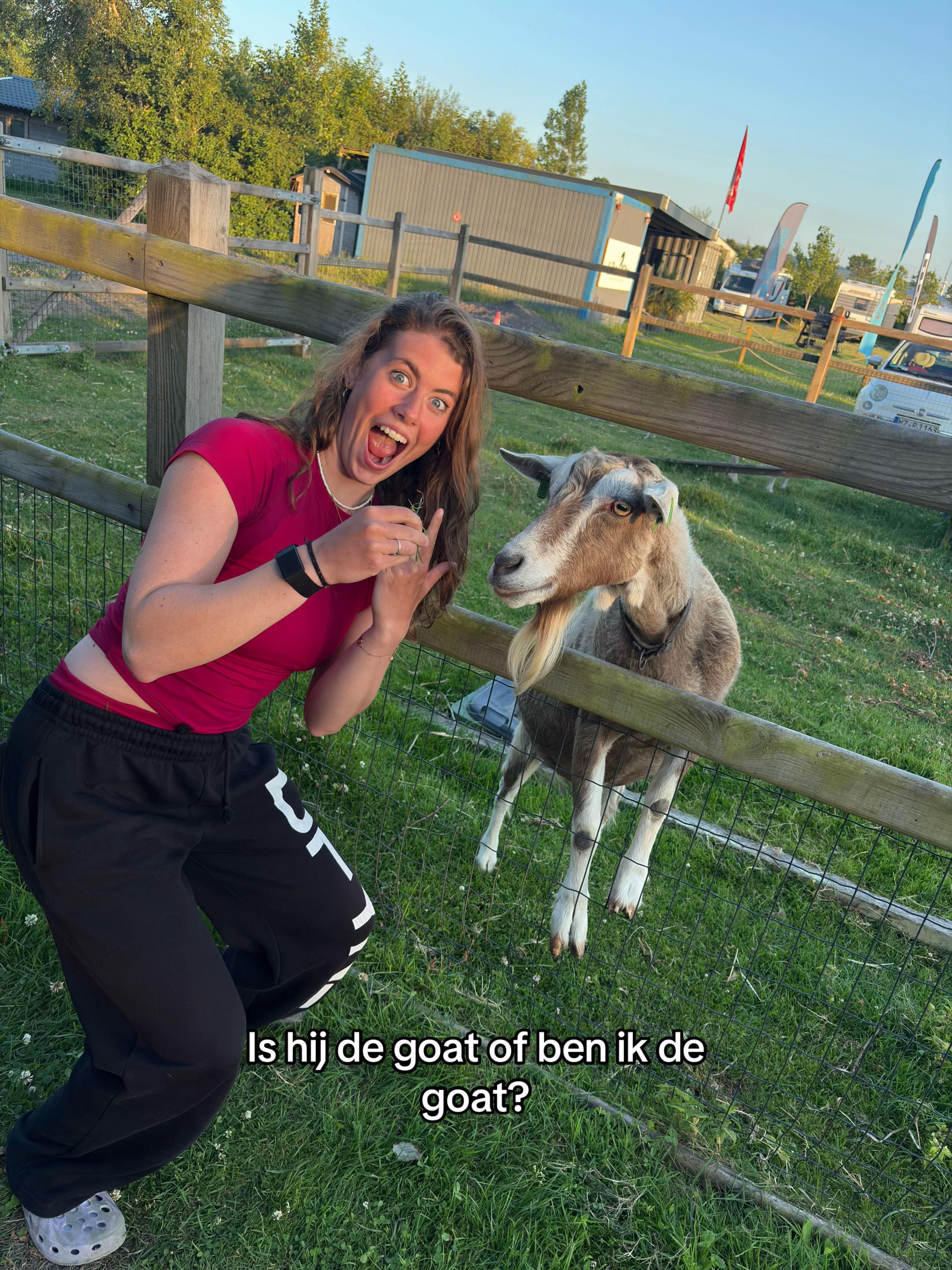 @Jente Koren