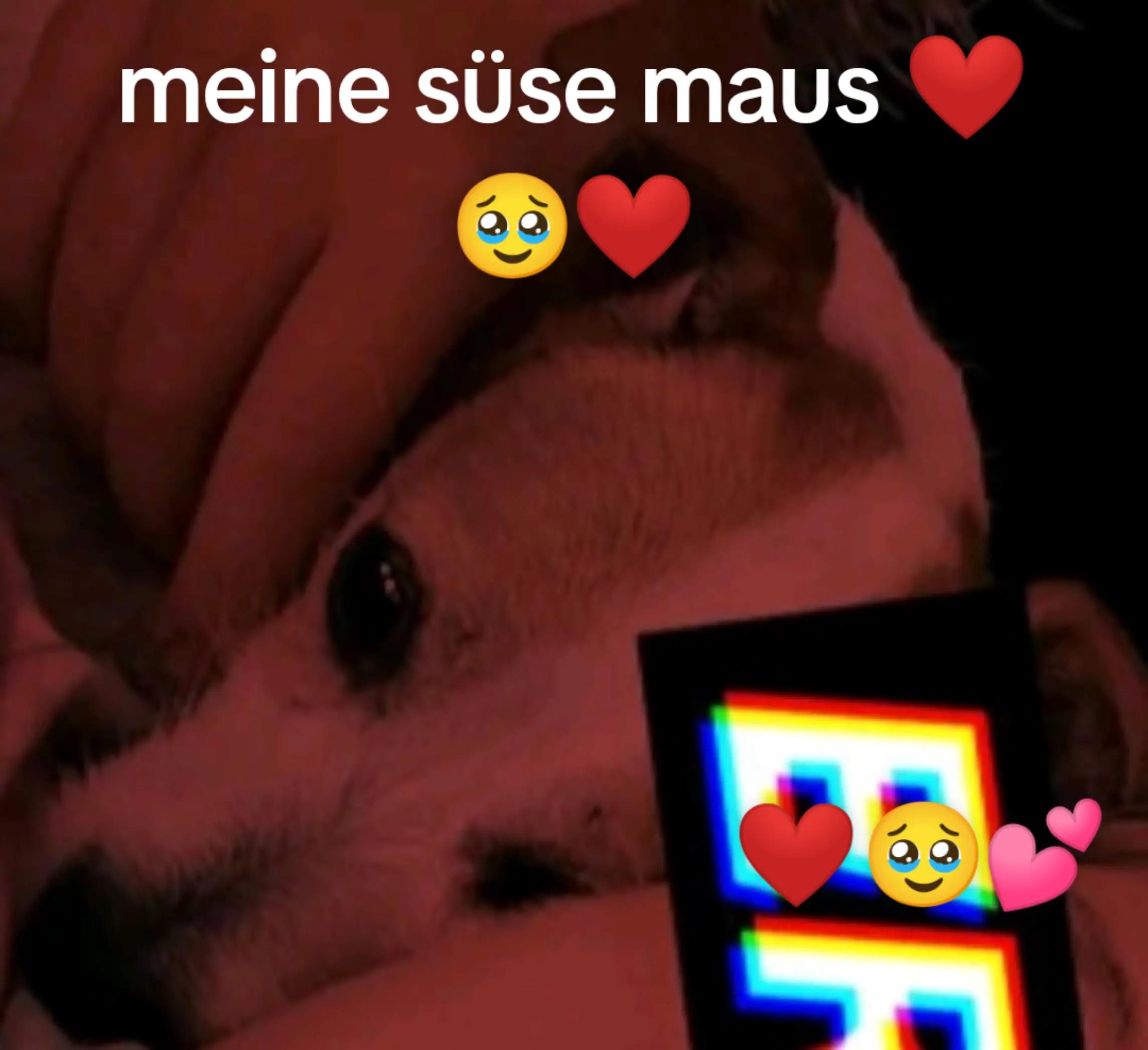 @Mausi❤️😘❤️