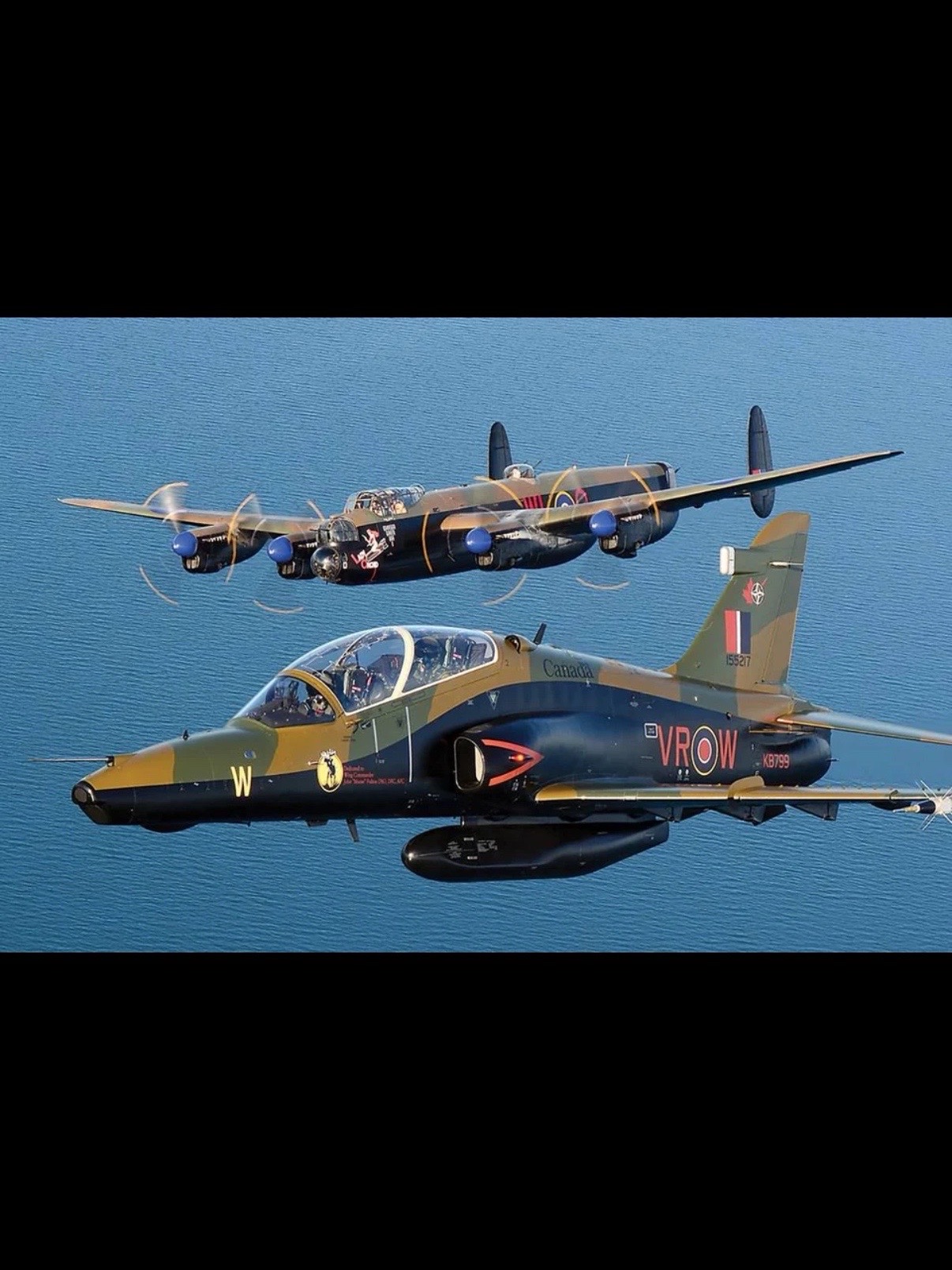 @Pug Ace WT