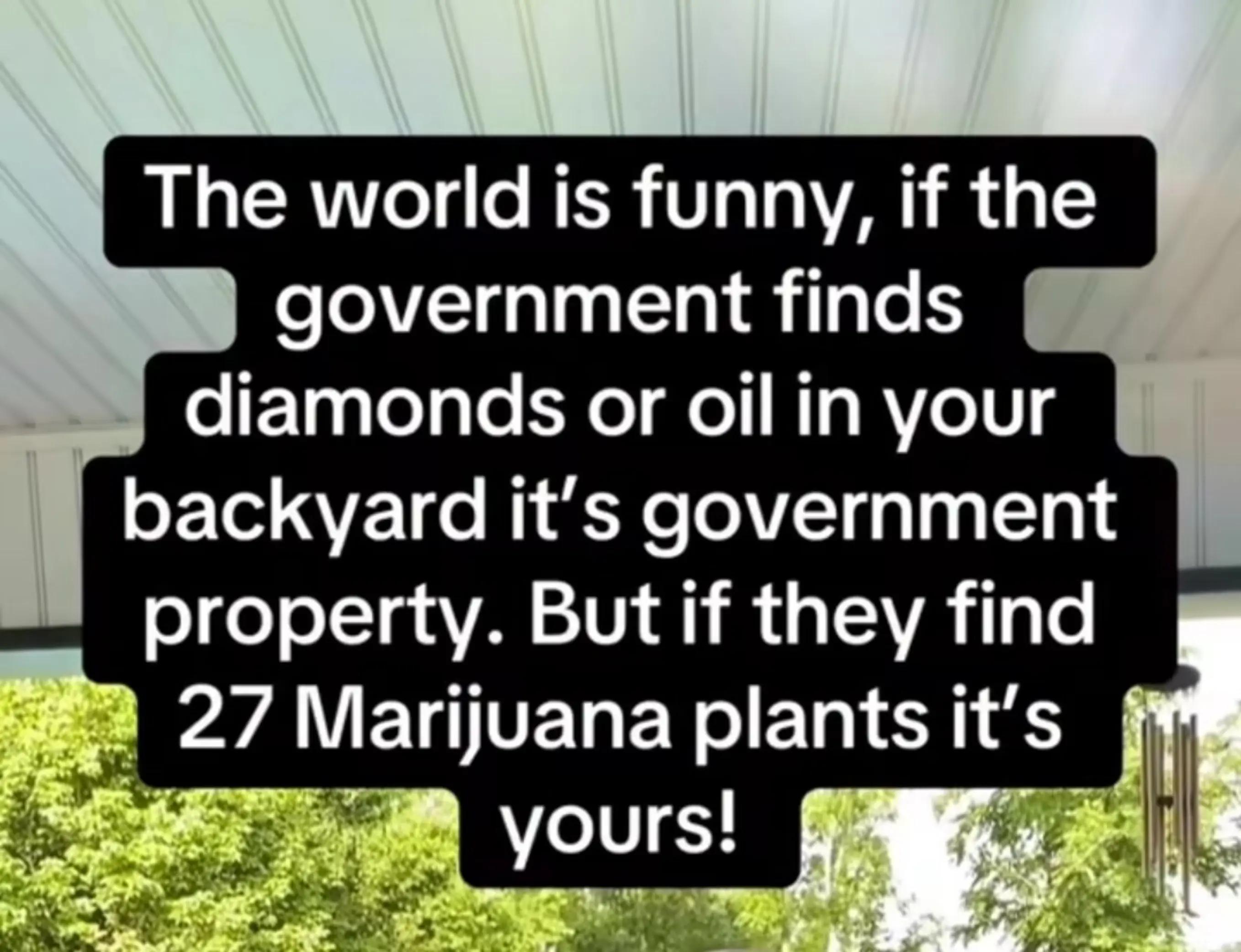 @brianmcvay467