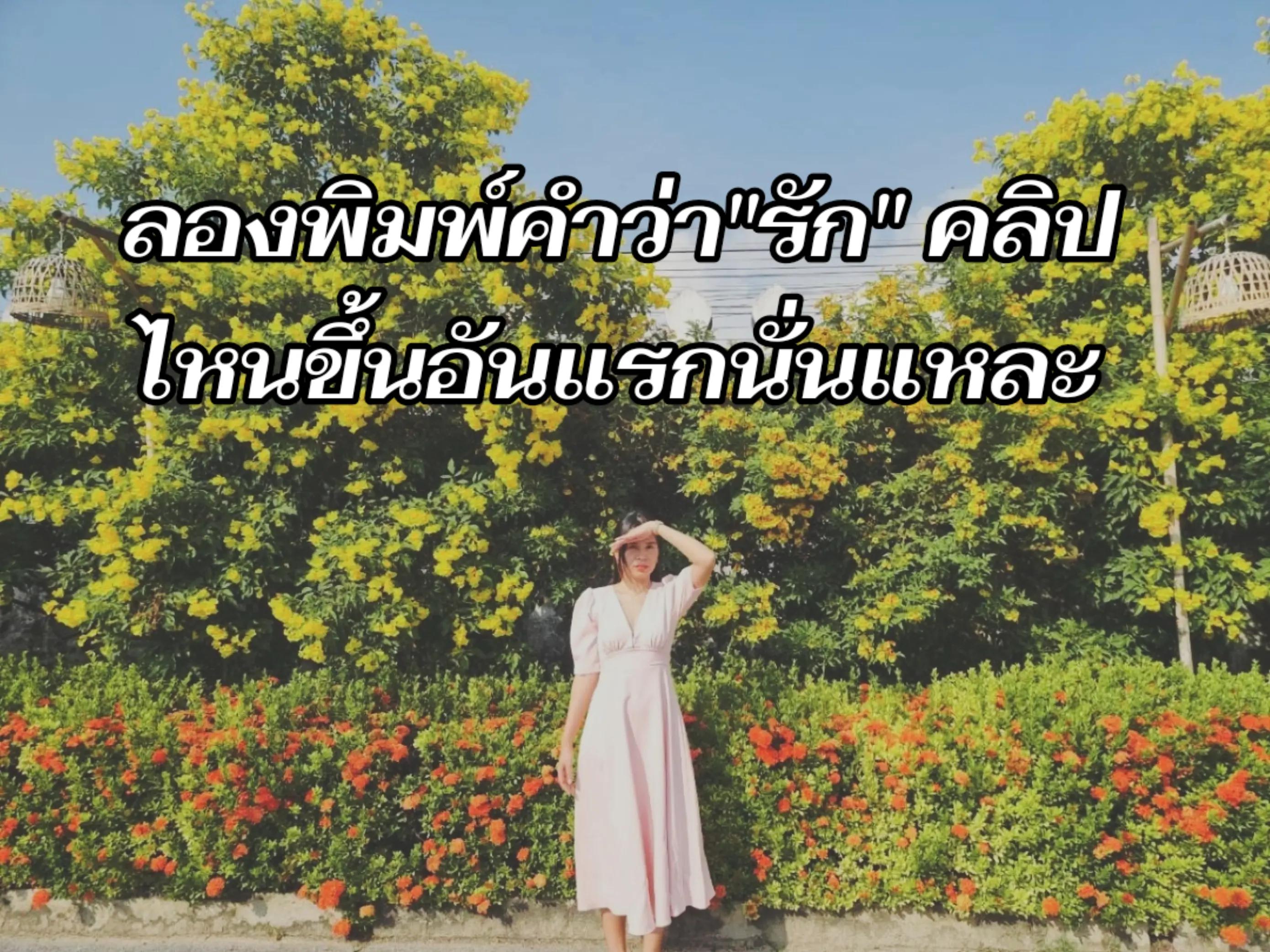 @🍀🌻มินตราที่แปลว่ากระถิน🌻🍀