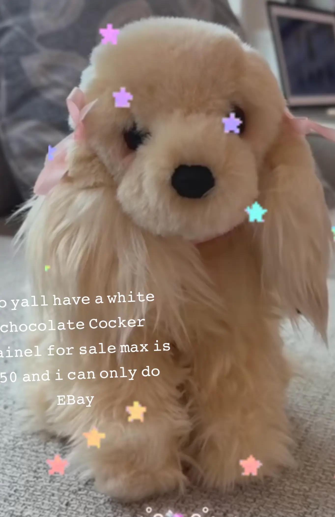 @⋆。˚꒰ঌ 𝖿ᥲᥕᥒ ໒꒱˚