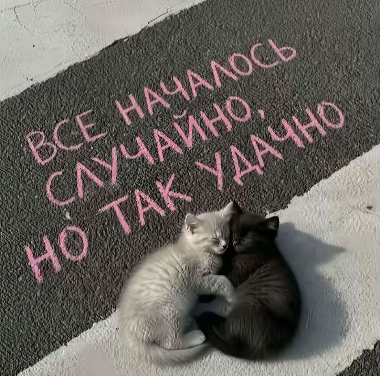 @Mashulya🎀
