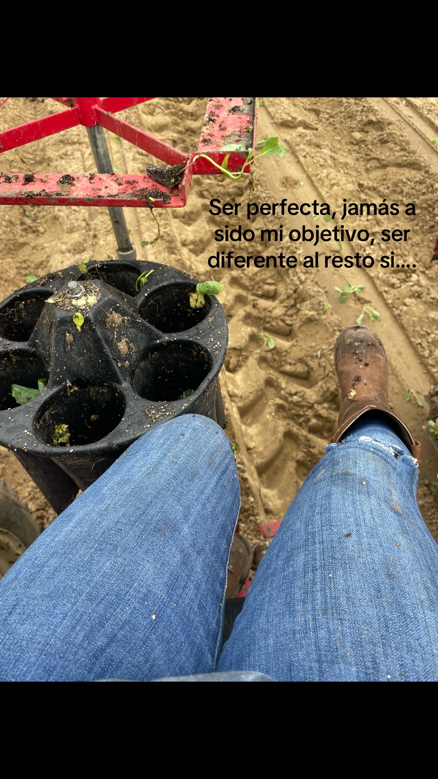 @ℒ ꨄ🇲🇽