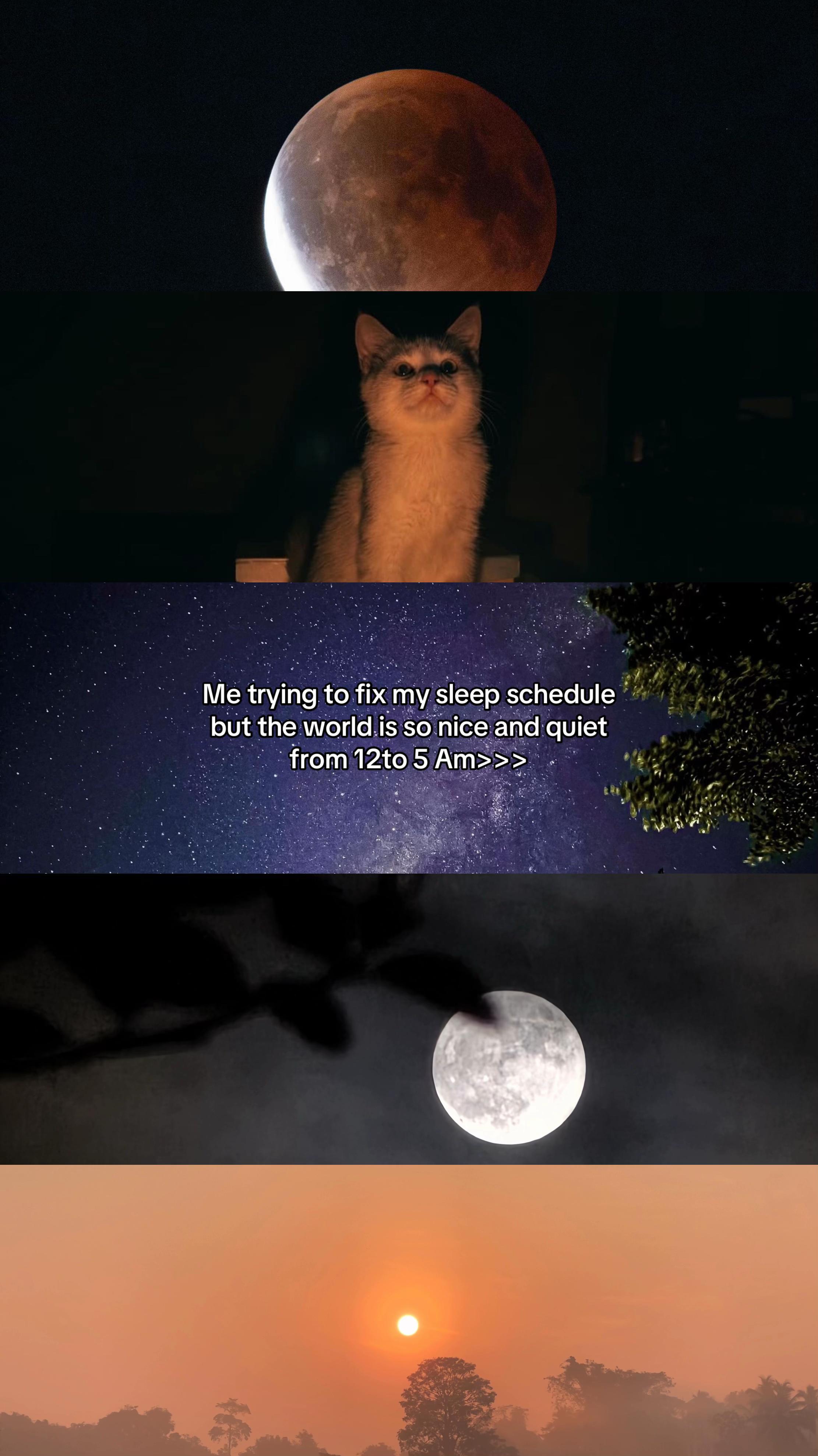 @🪷