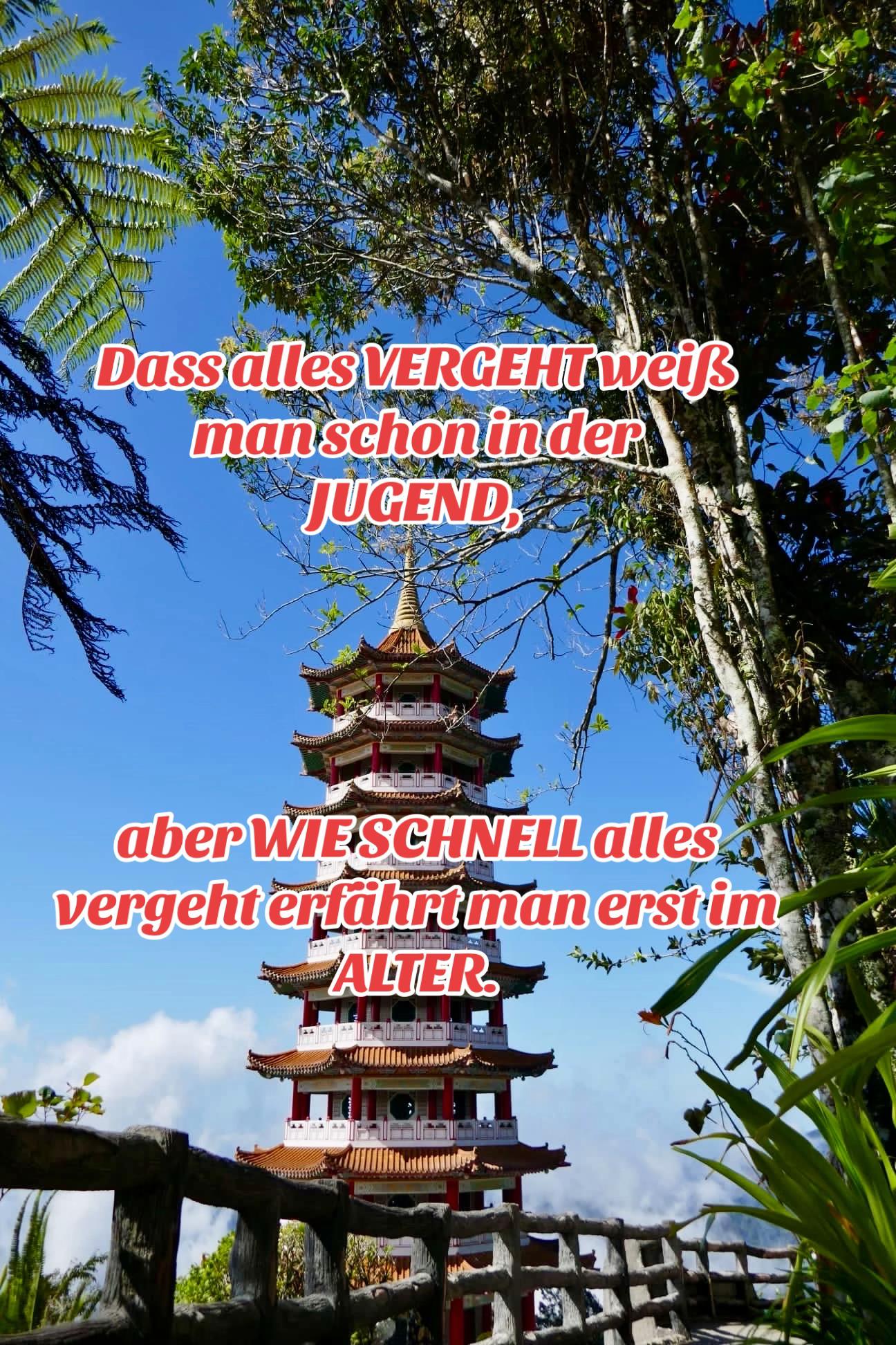 @Datuk
