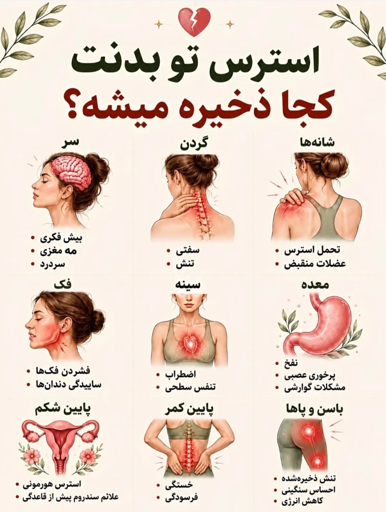 @Sara Hashimi
