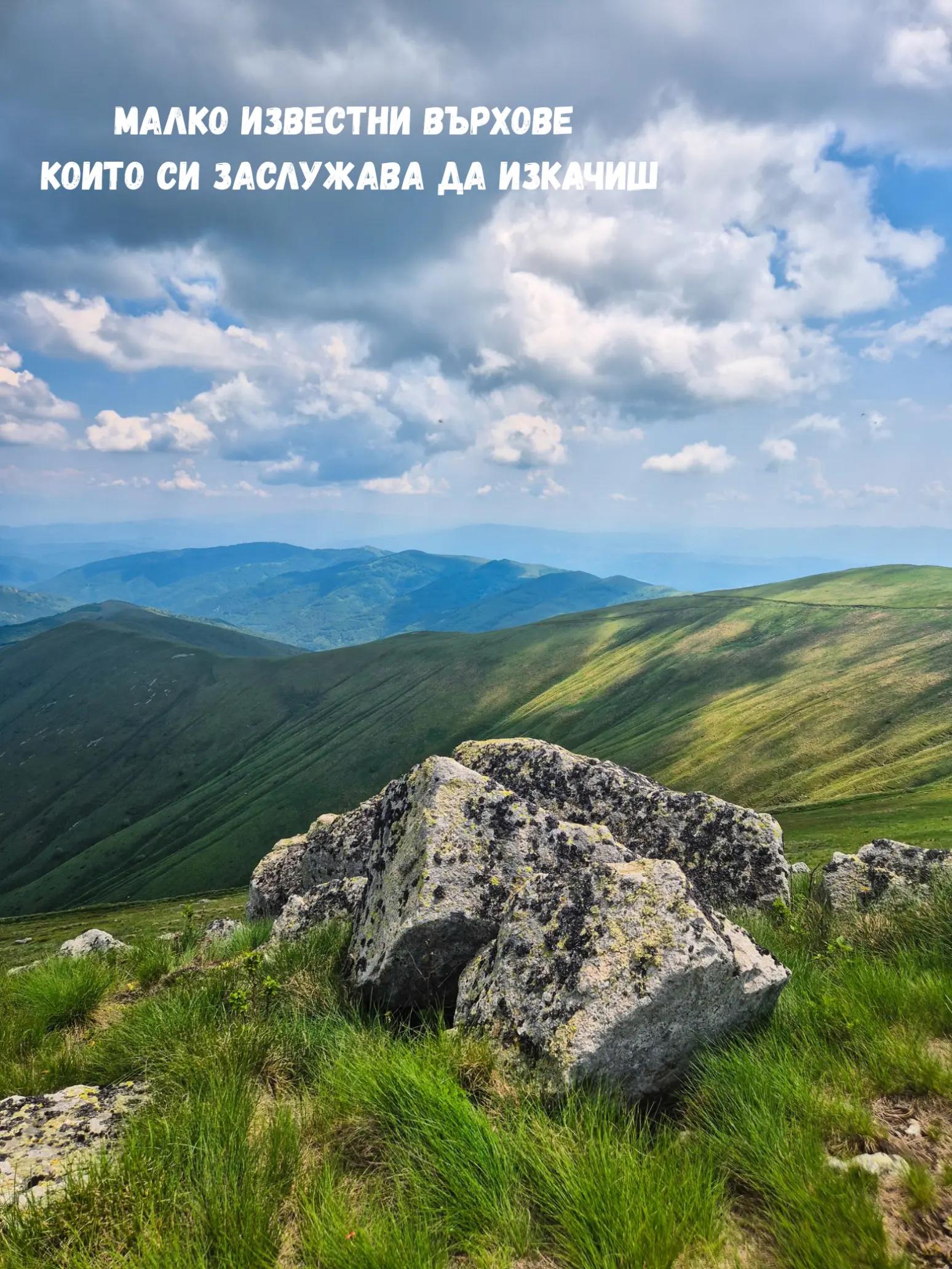@Zornitsa Ivanova