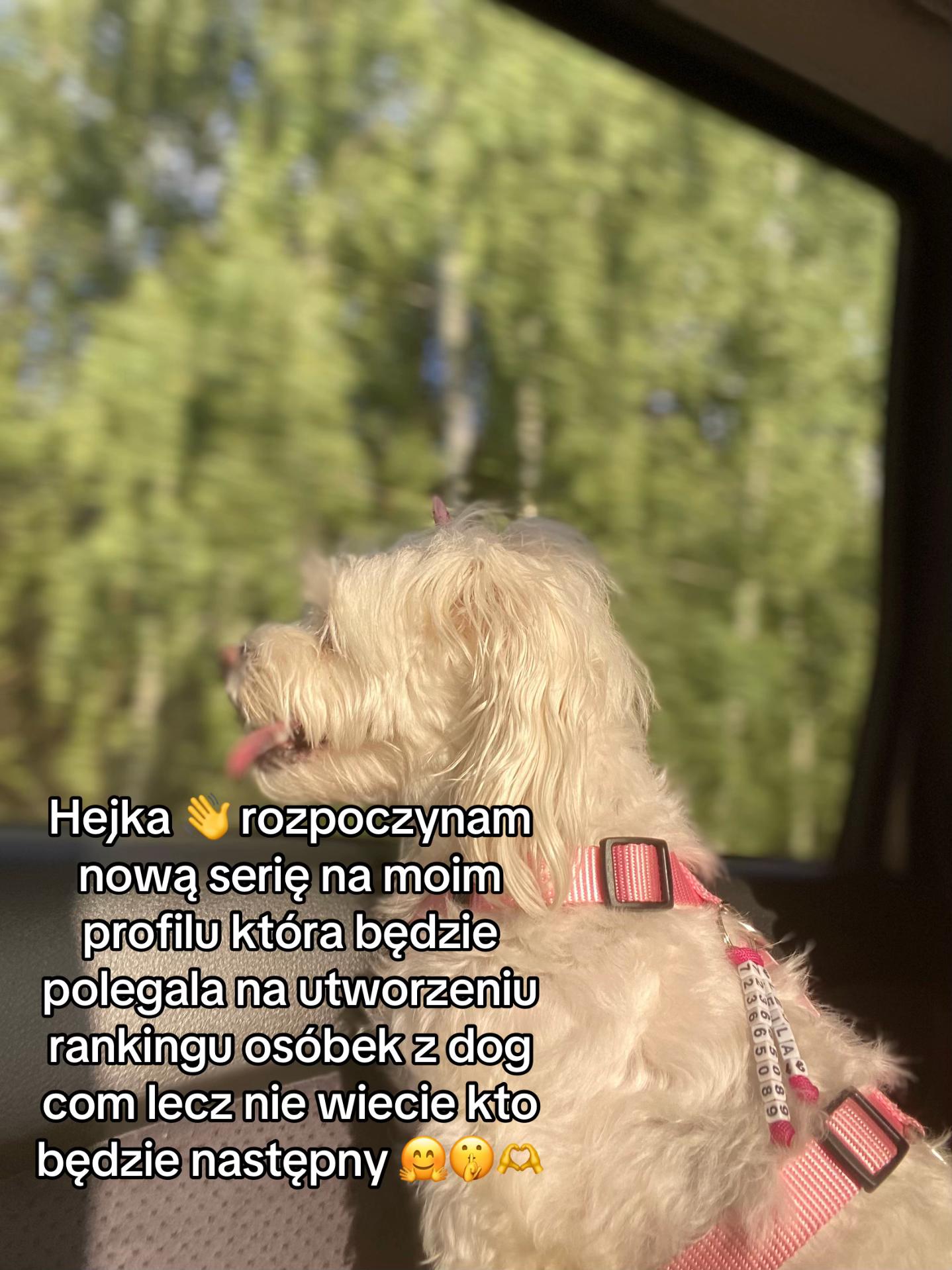 @โ๐ฉ๐๐๐๐๐&๐๐๐๐๐๐ชโ