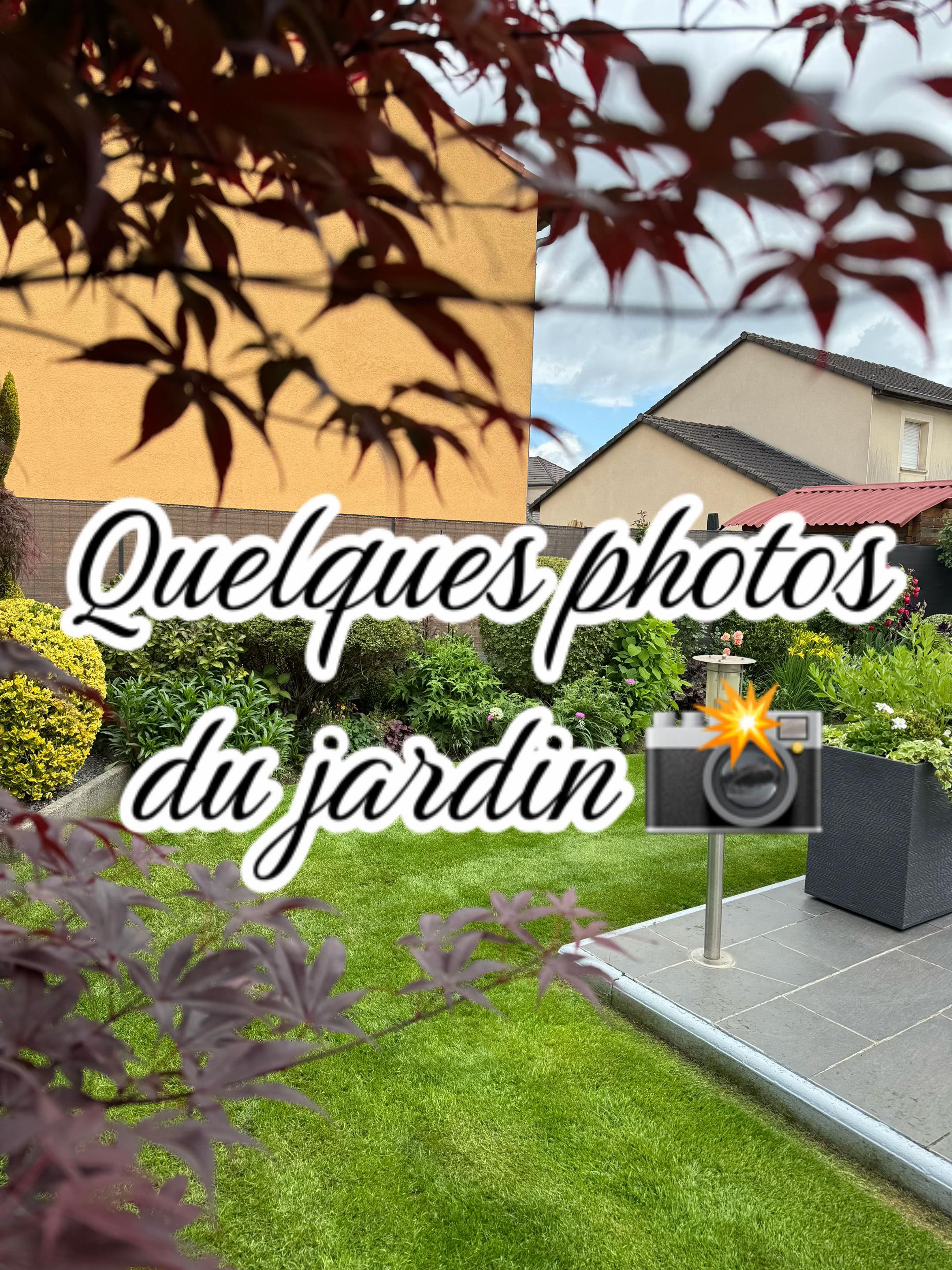 @Jardin de Rémi