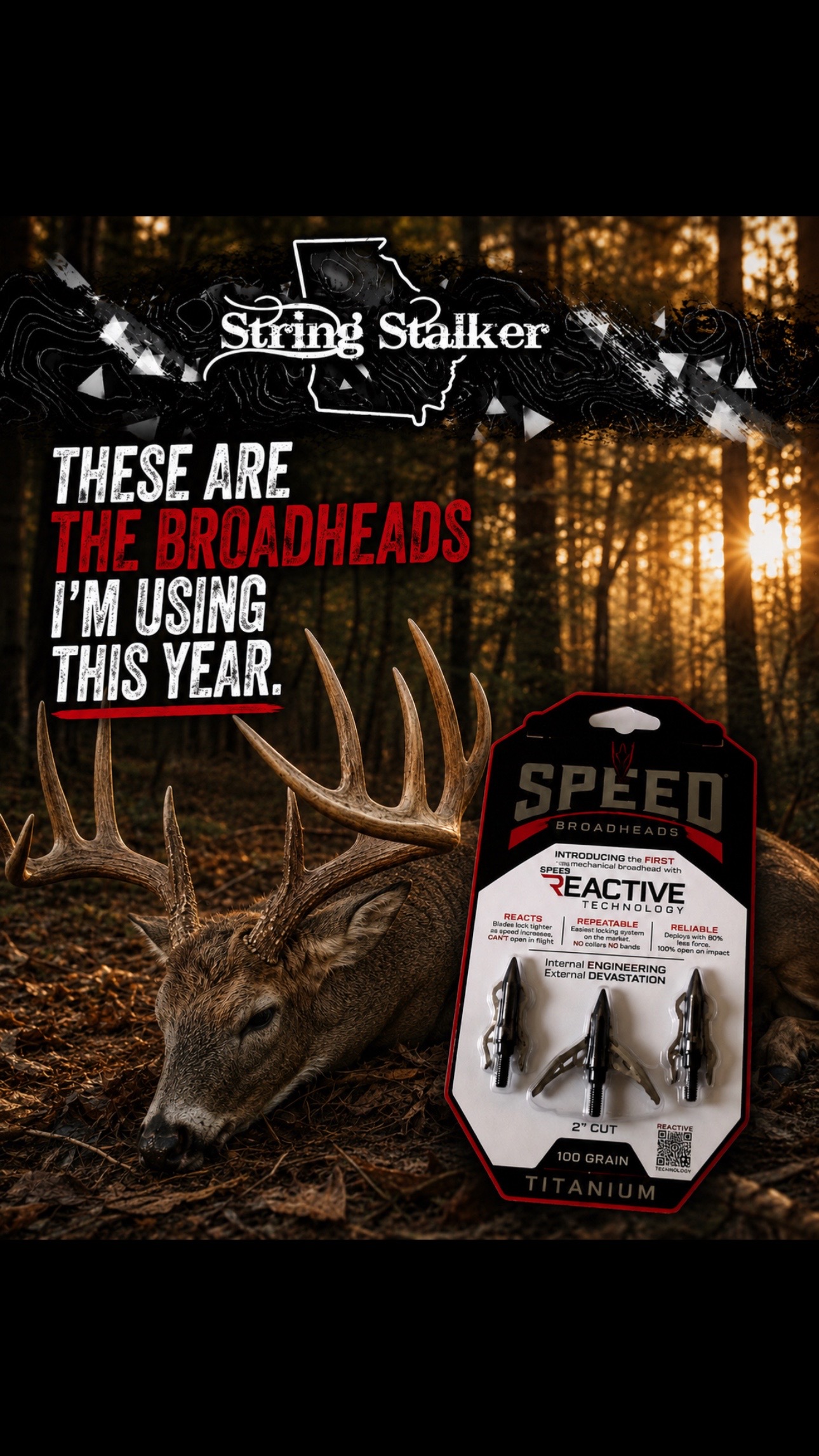 @GEORGIA STRING STALKER