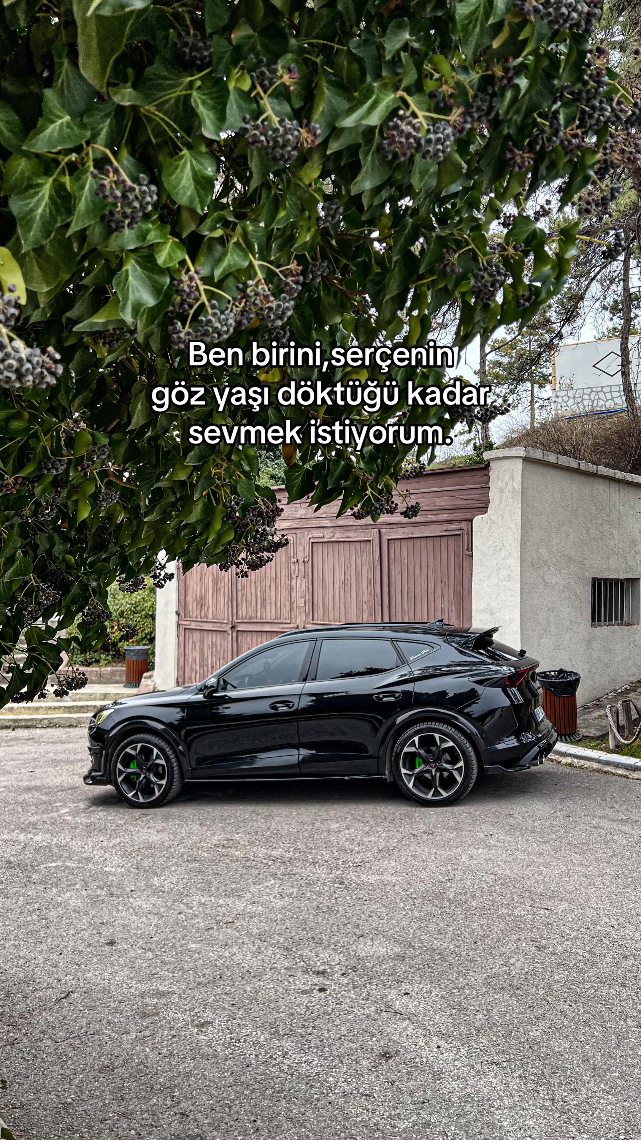 @Poyraz Pala