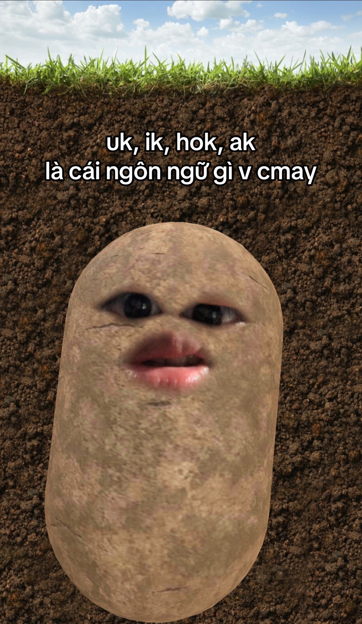 @ywwwwwwn