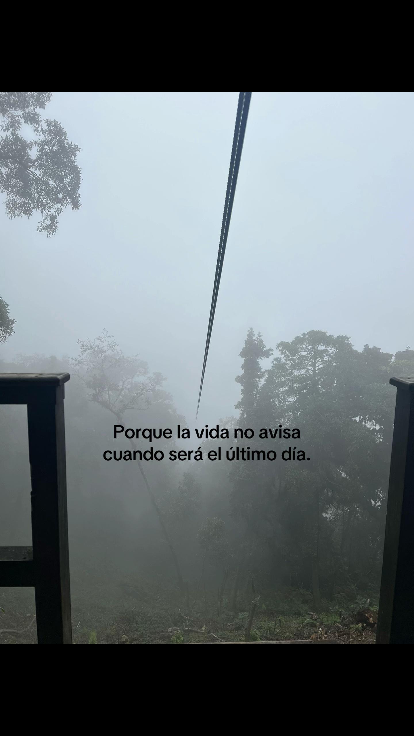 @Tanii♡
