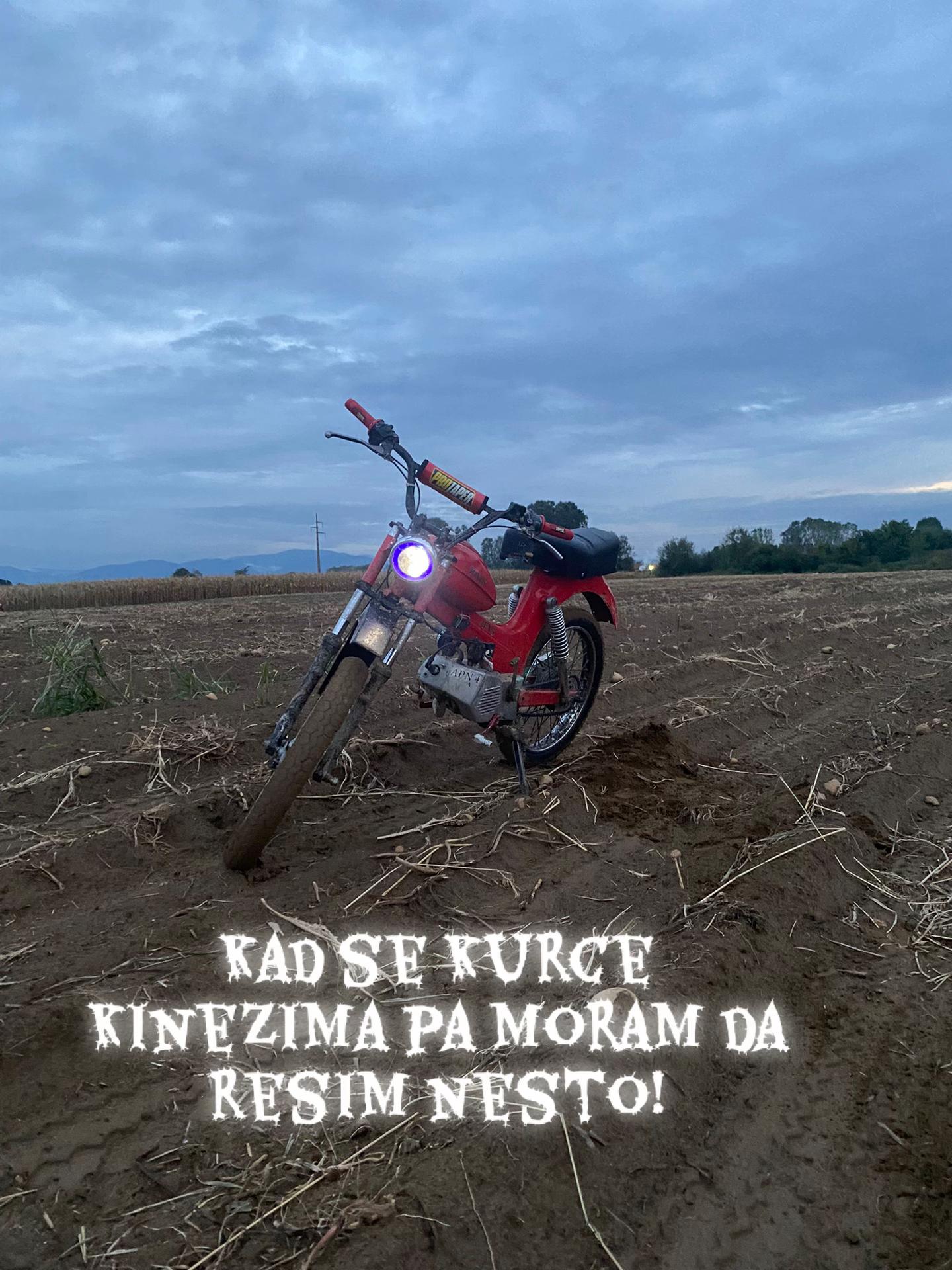 @veljko446