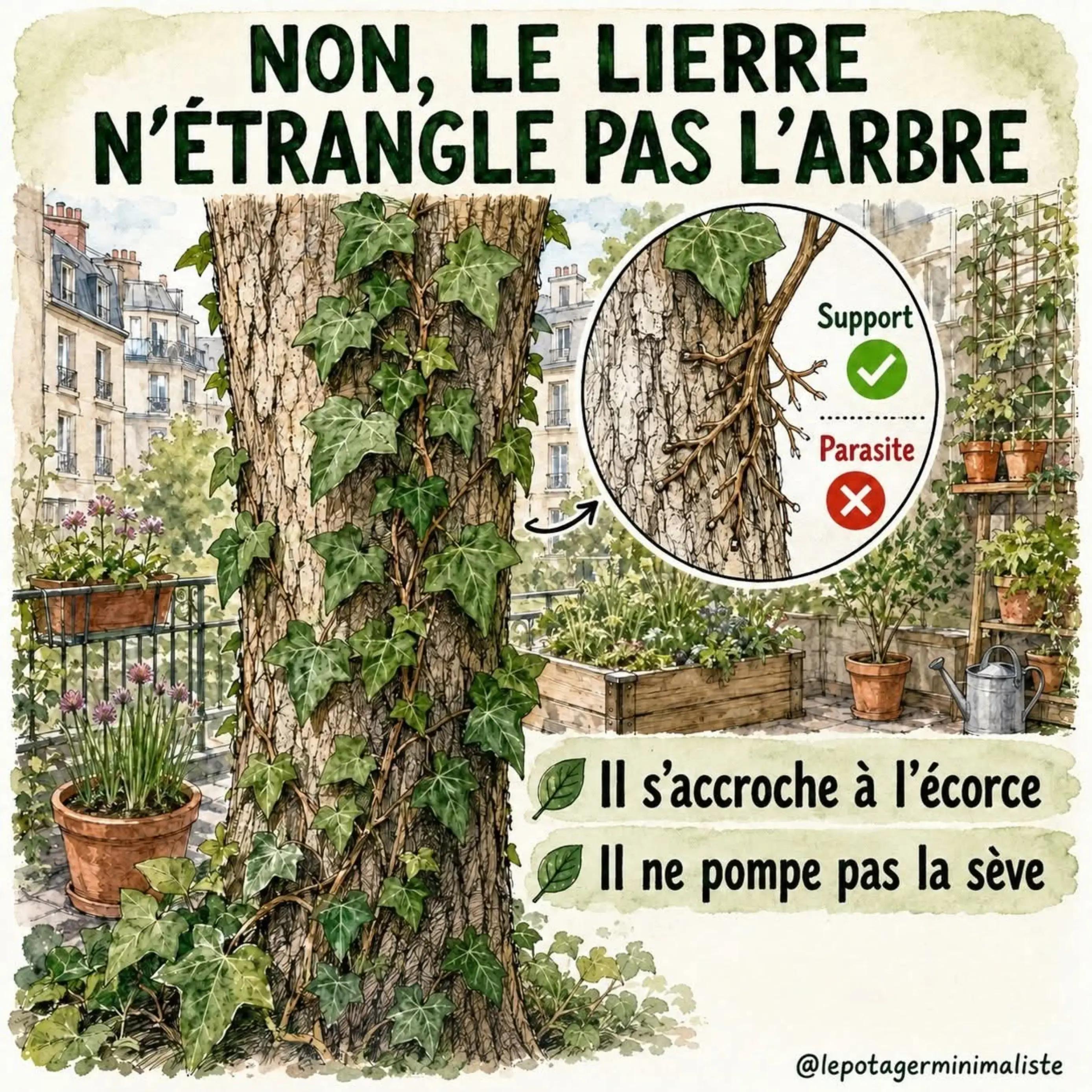 @L’Éphémère