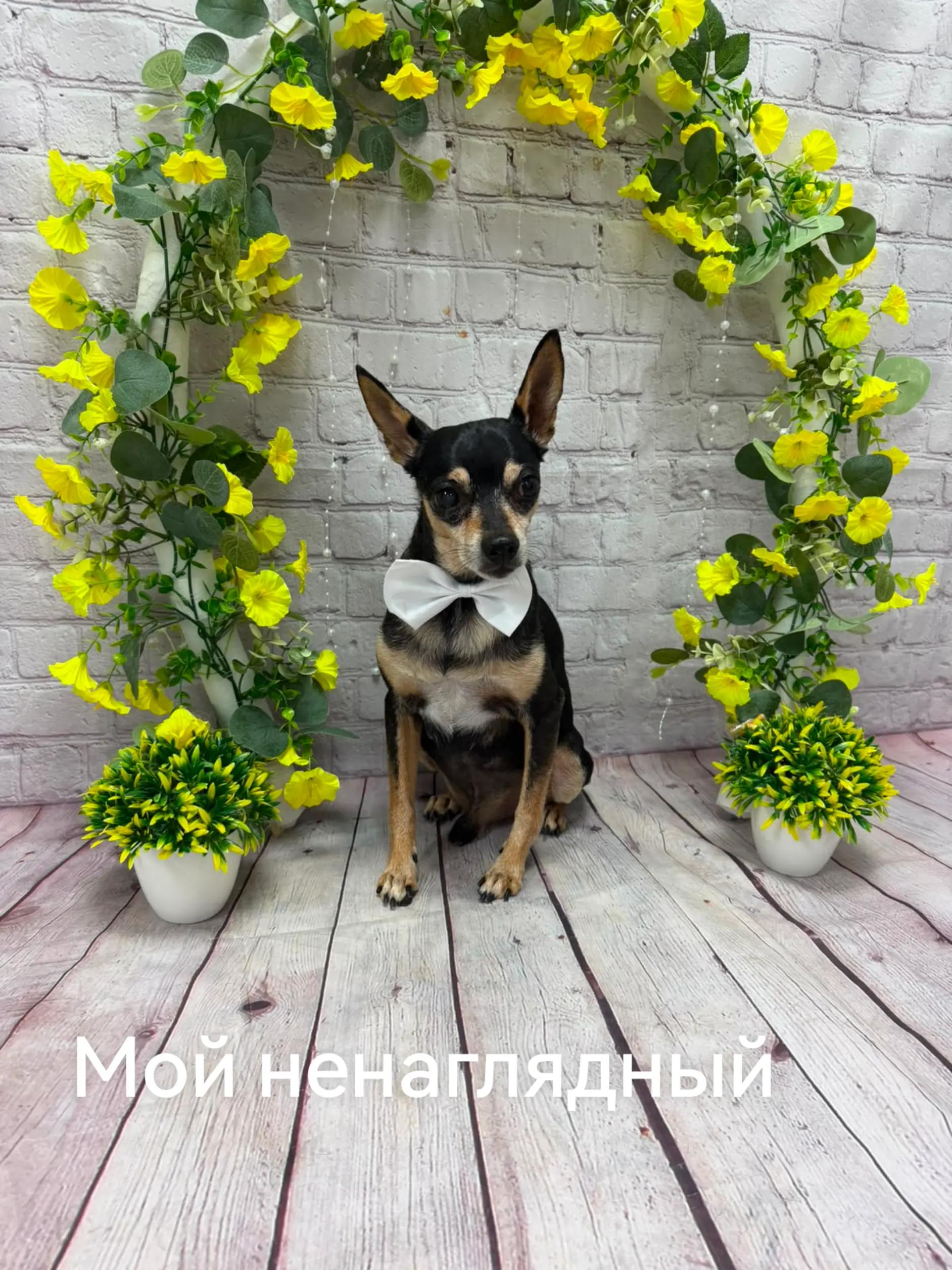 @Вероничка