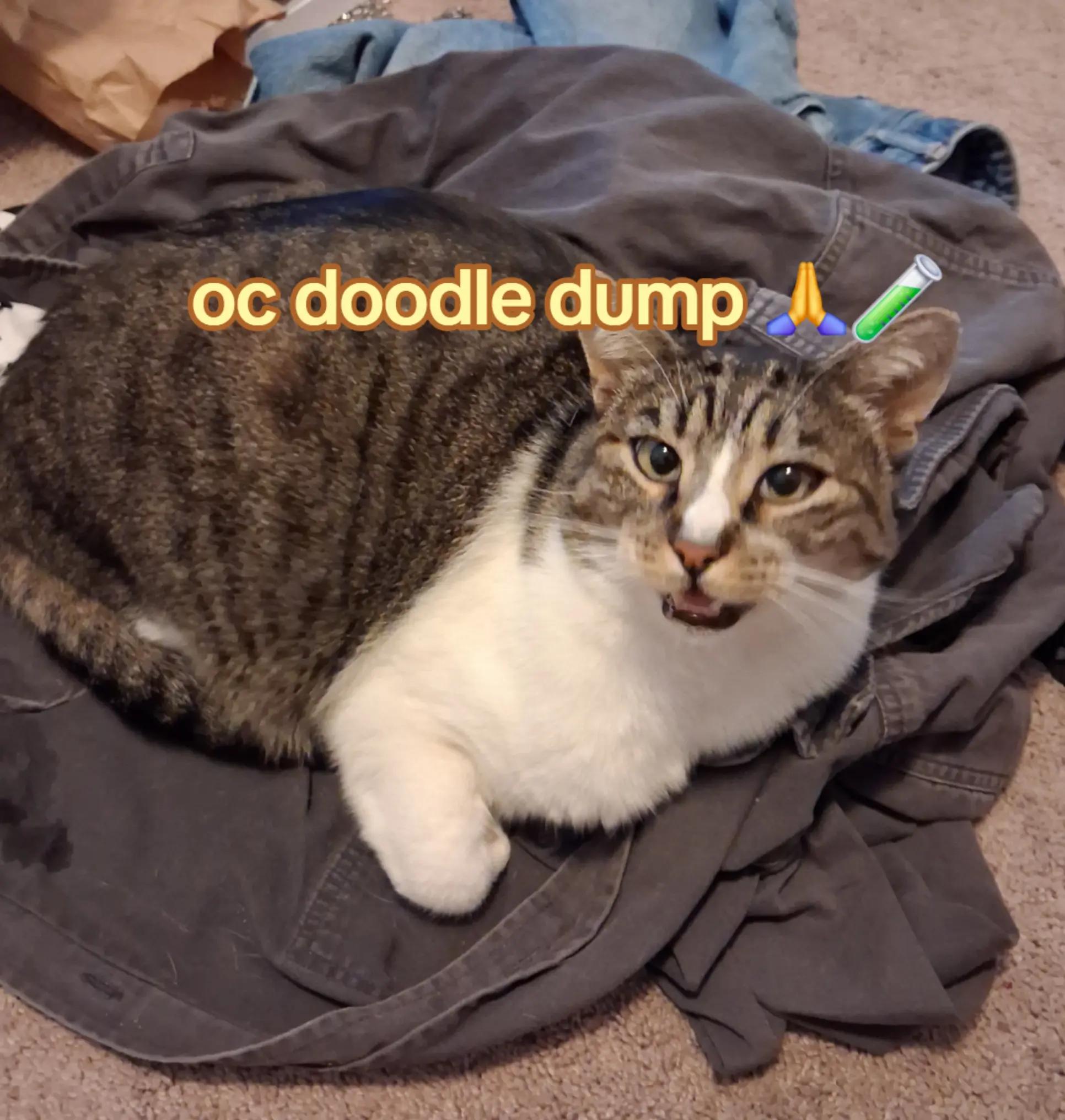 @Dimitri ๐๐ชฝ