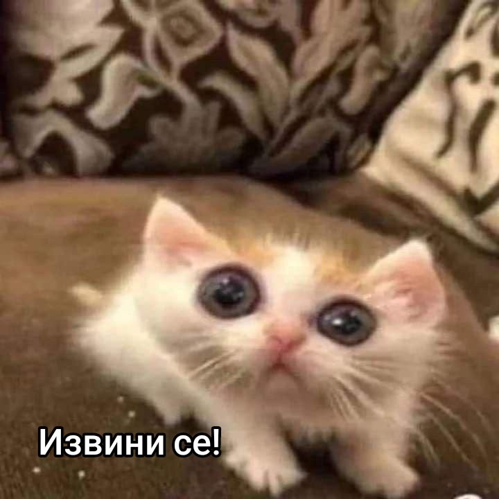 @D(ark)