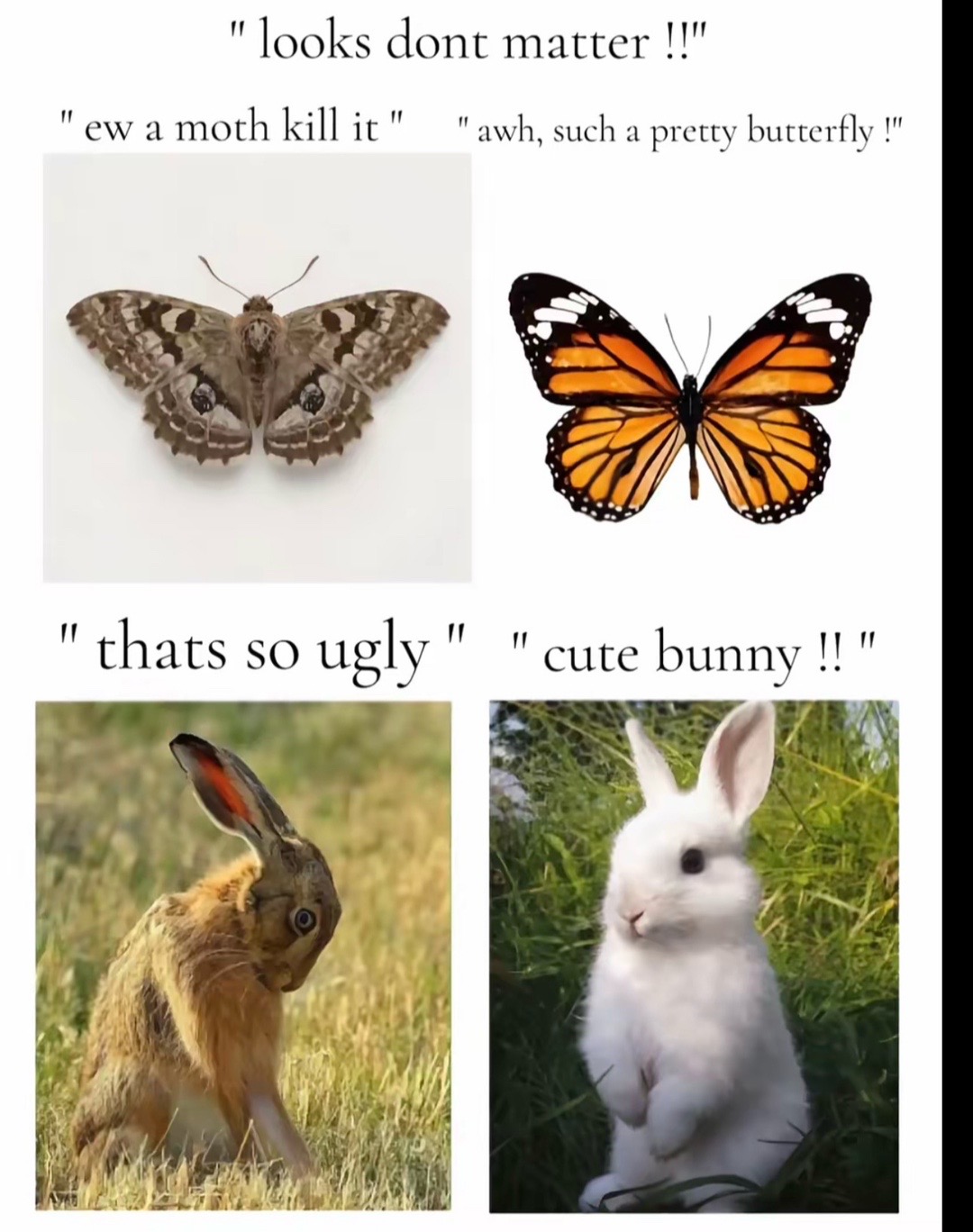 @elijahhh