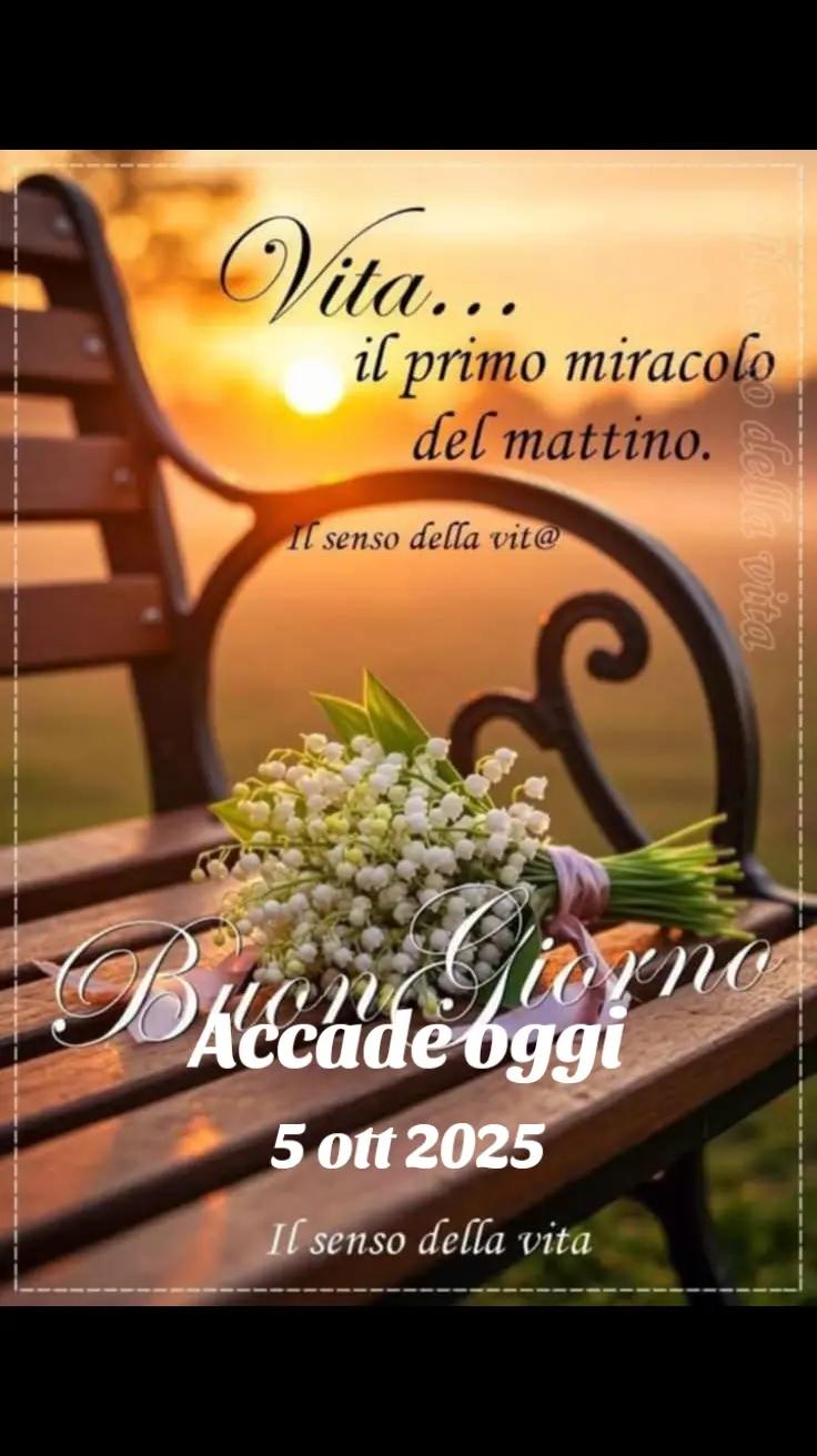 @alessandramarchi726