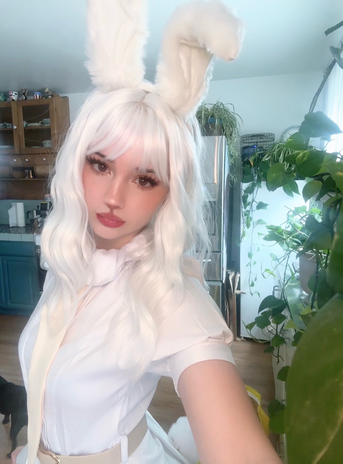 @mworpeko