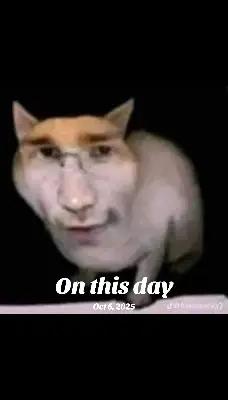 @⦻Conner!⦻