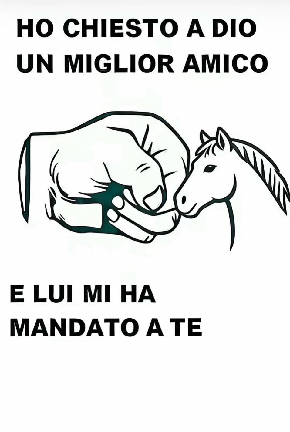 @Sconosciuto6.12