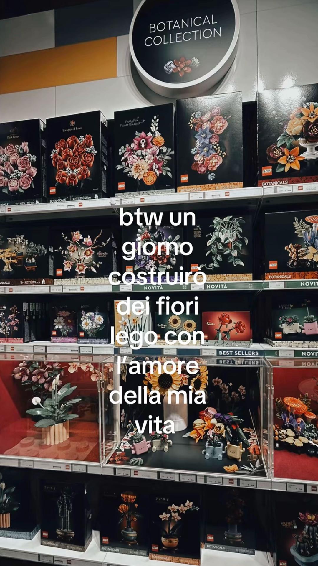 @spamm.ginny🌟