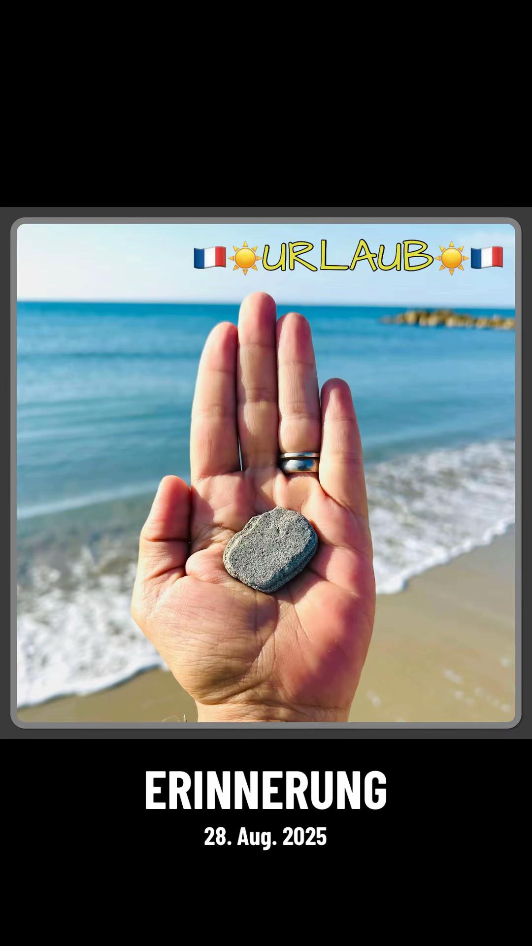 @🤍🦥🌿 TᗩᗰI 🌿🦥🤍