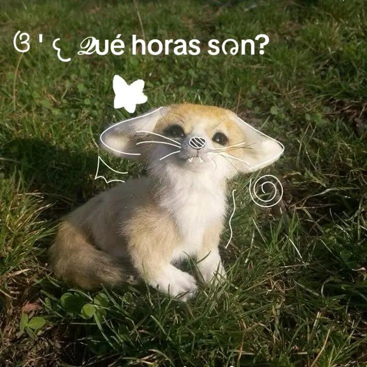 @⊹♡ᵎ . 𝐸𝑙𝑖𝑧𝑎. 🐇 ˖୨୧ ⋆*
