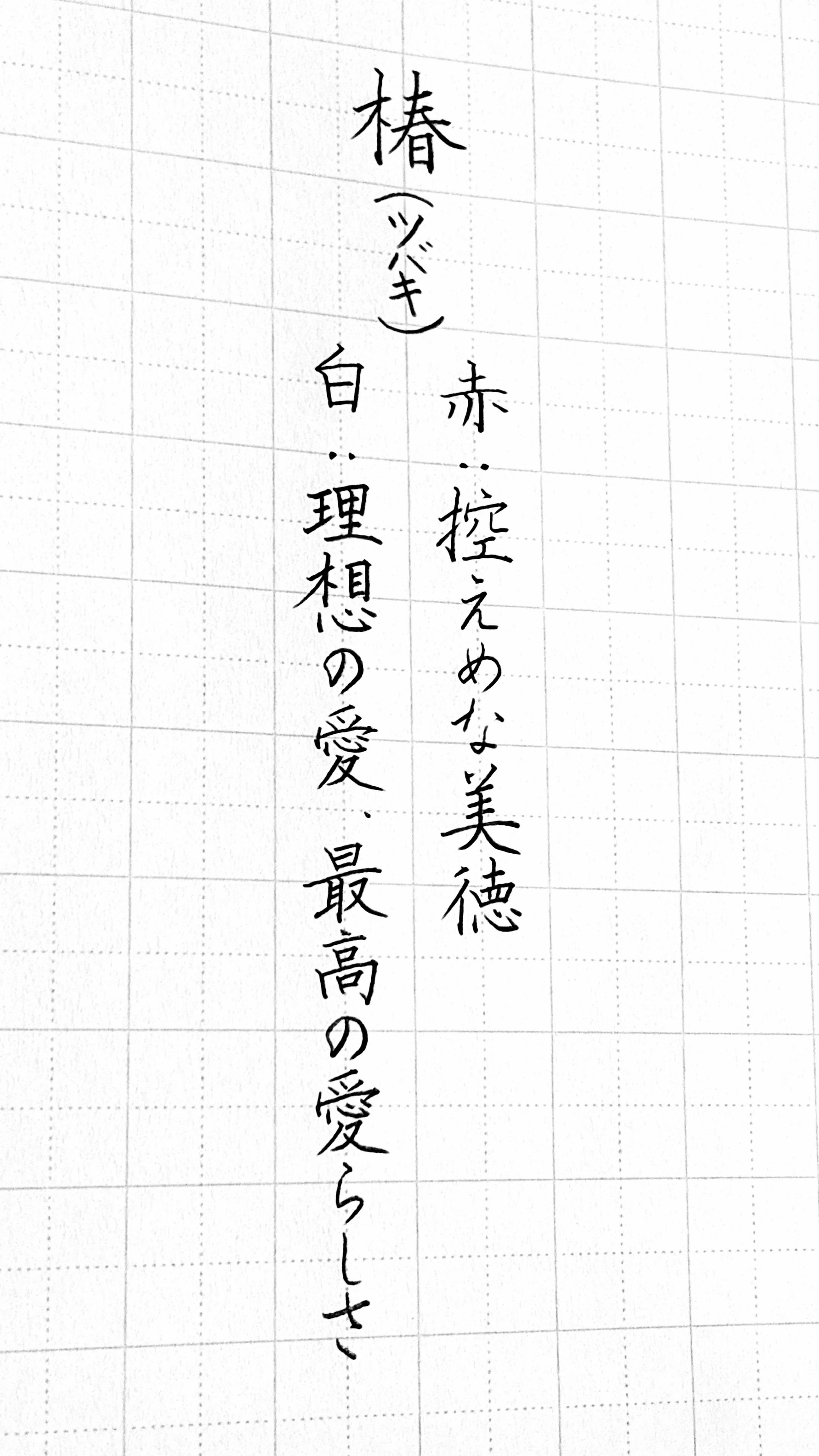 @茉 莉